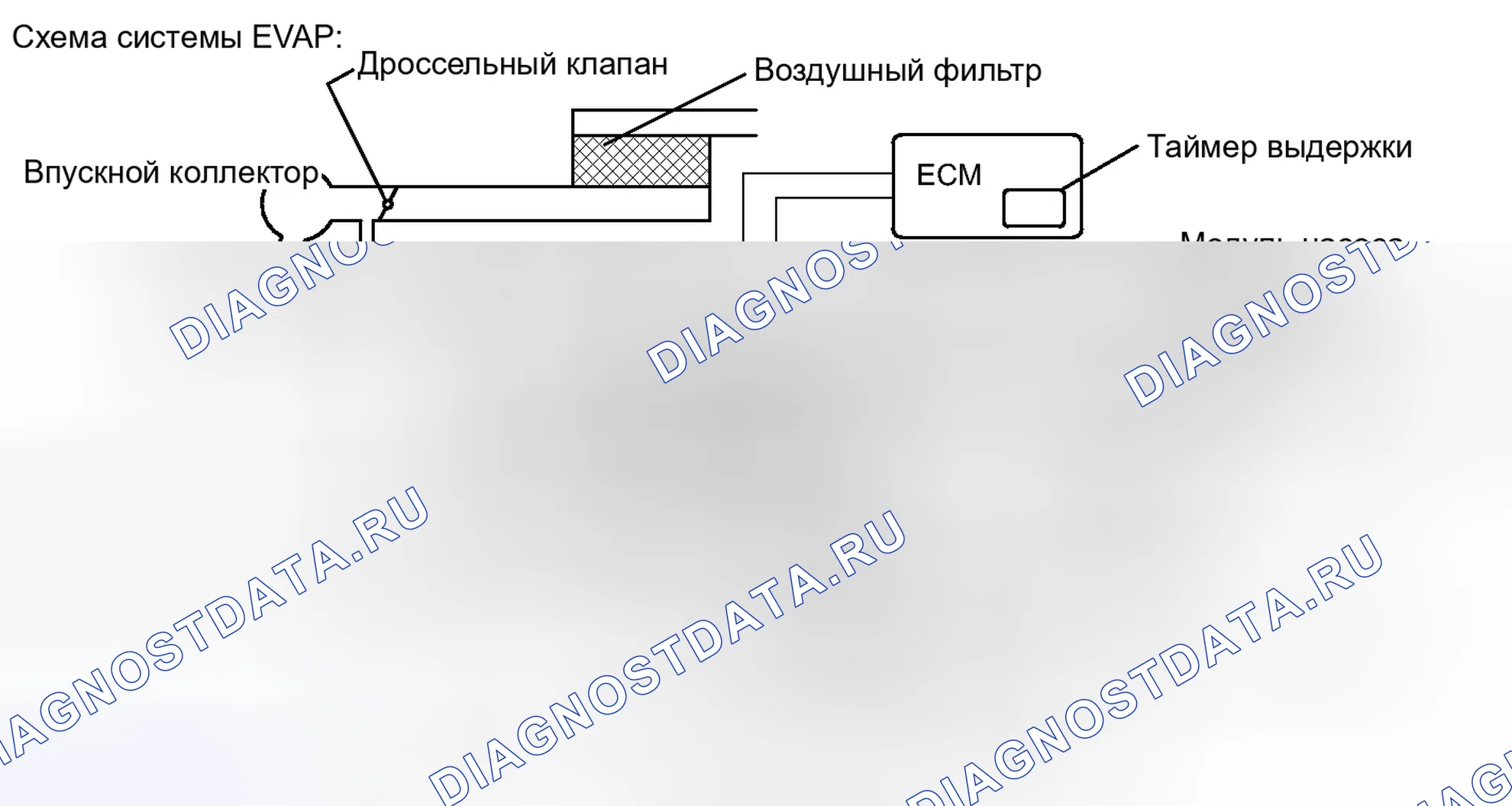 Рис. 521. Toyota 4Runner V