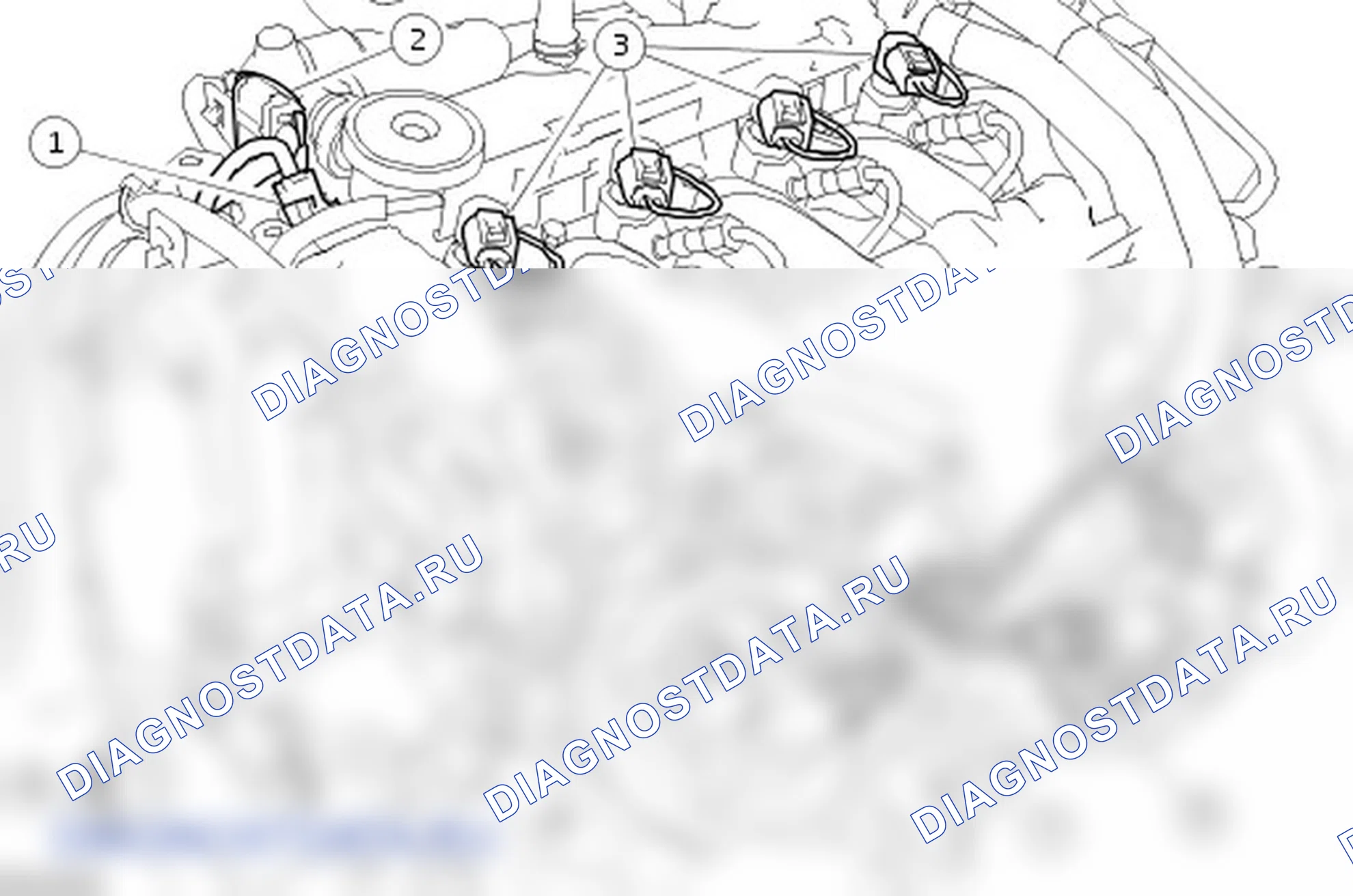 Разборка двигателя. Ford C-MAX I рестайлинг