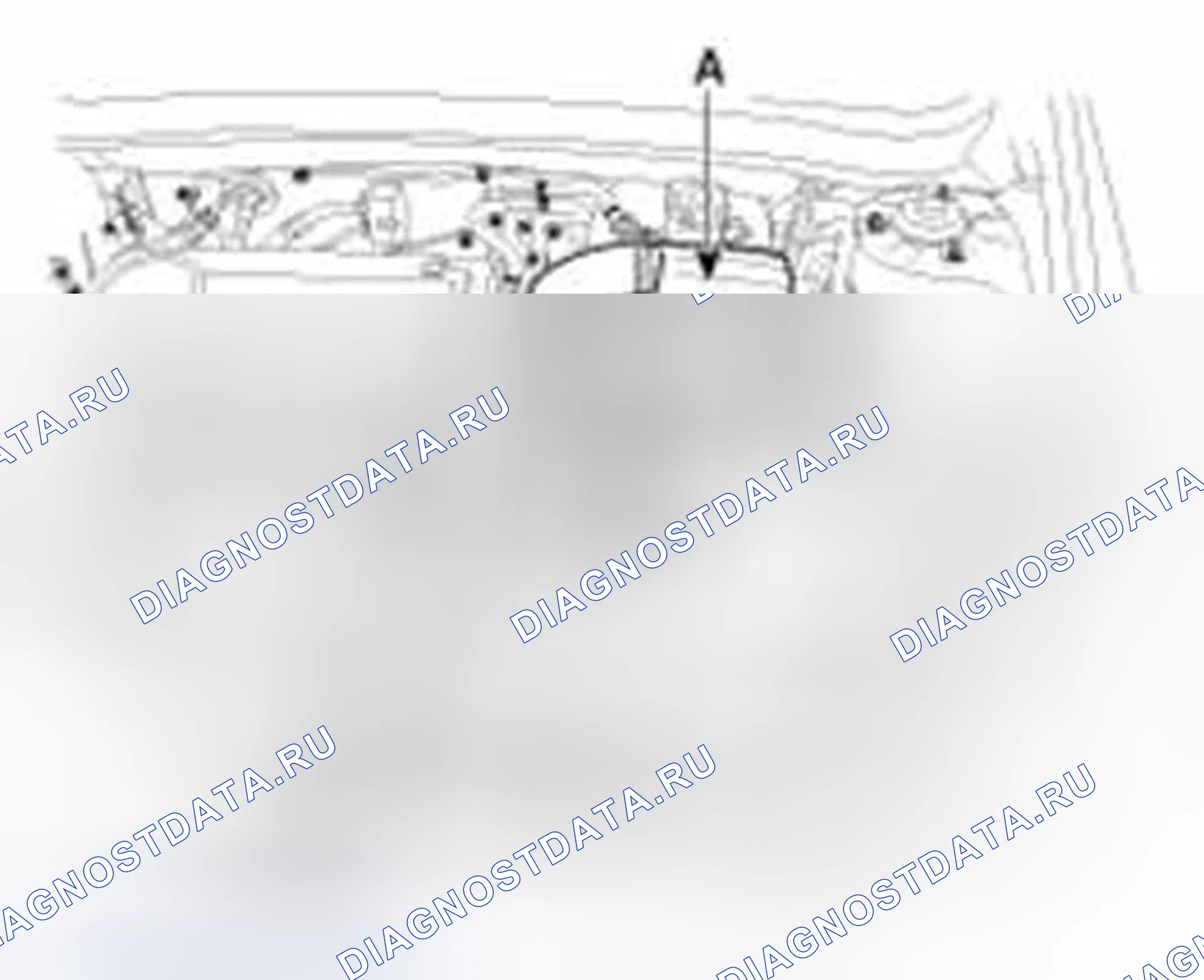 Рис. 103: Усилитель тормозов. Hyundai Sonata VI