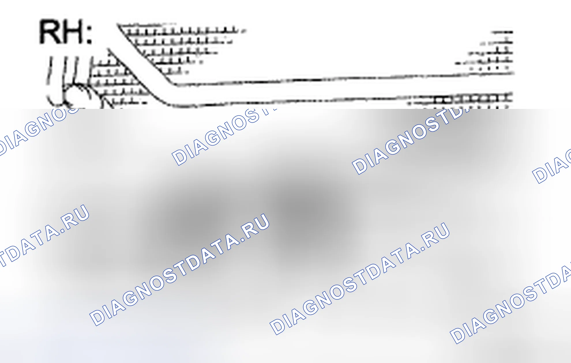 Рис. 45. Honda Accord IX