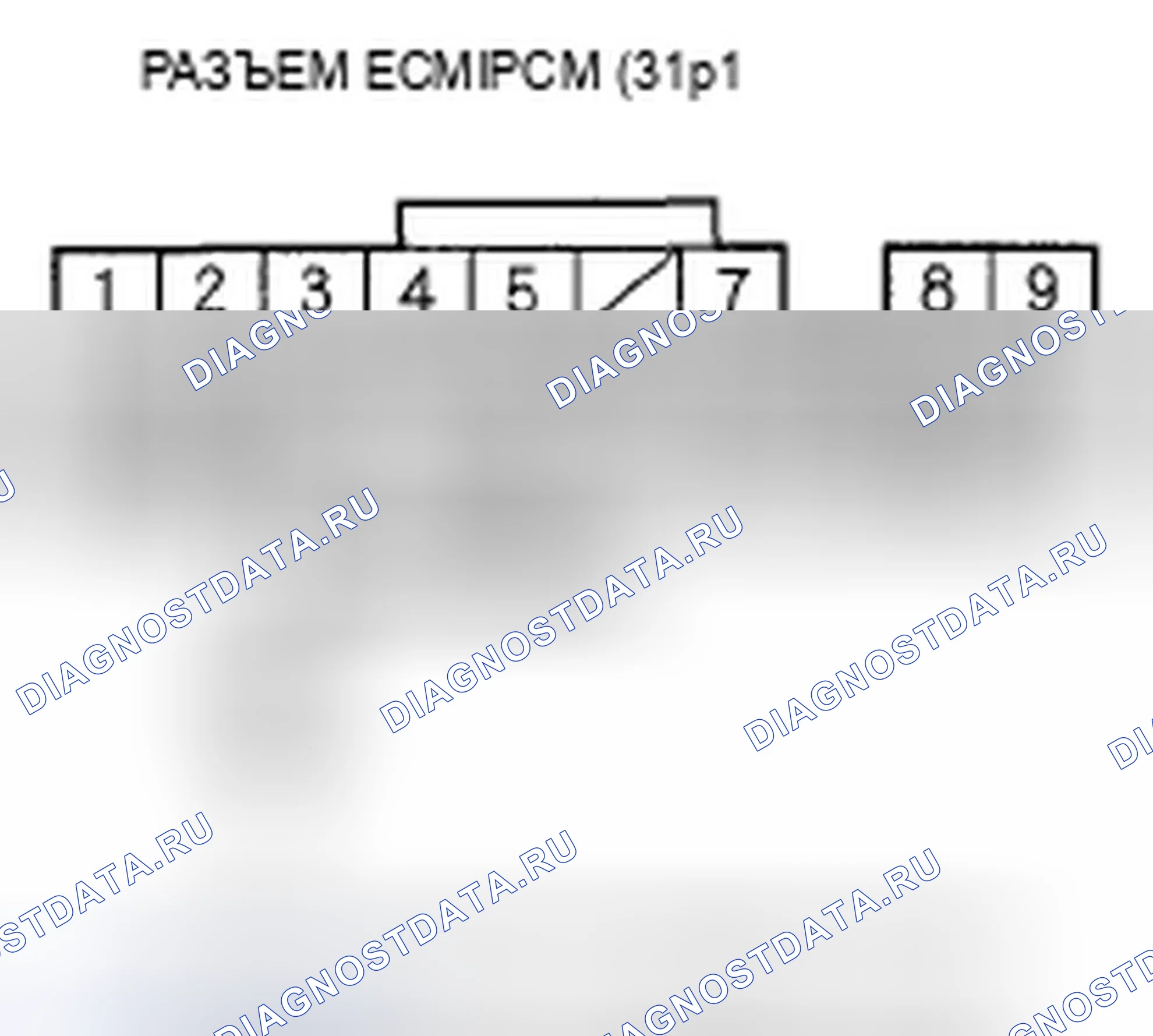 Рис. 101. Acura TSX I