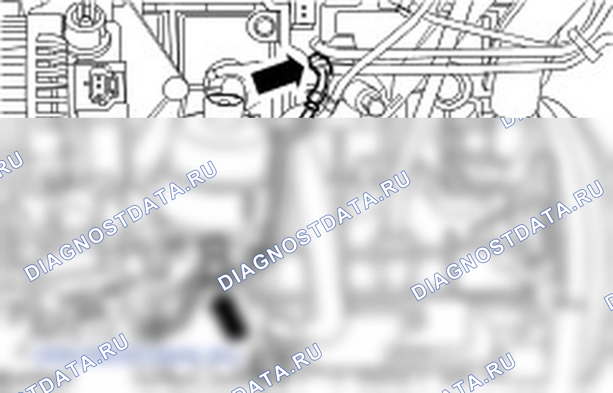 Разборка двигателя. Ford C-MAX I рестайлинг