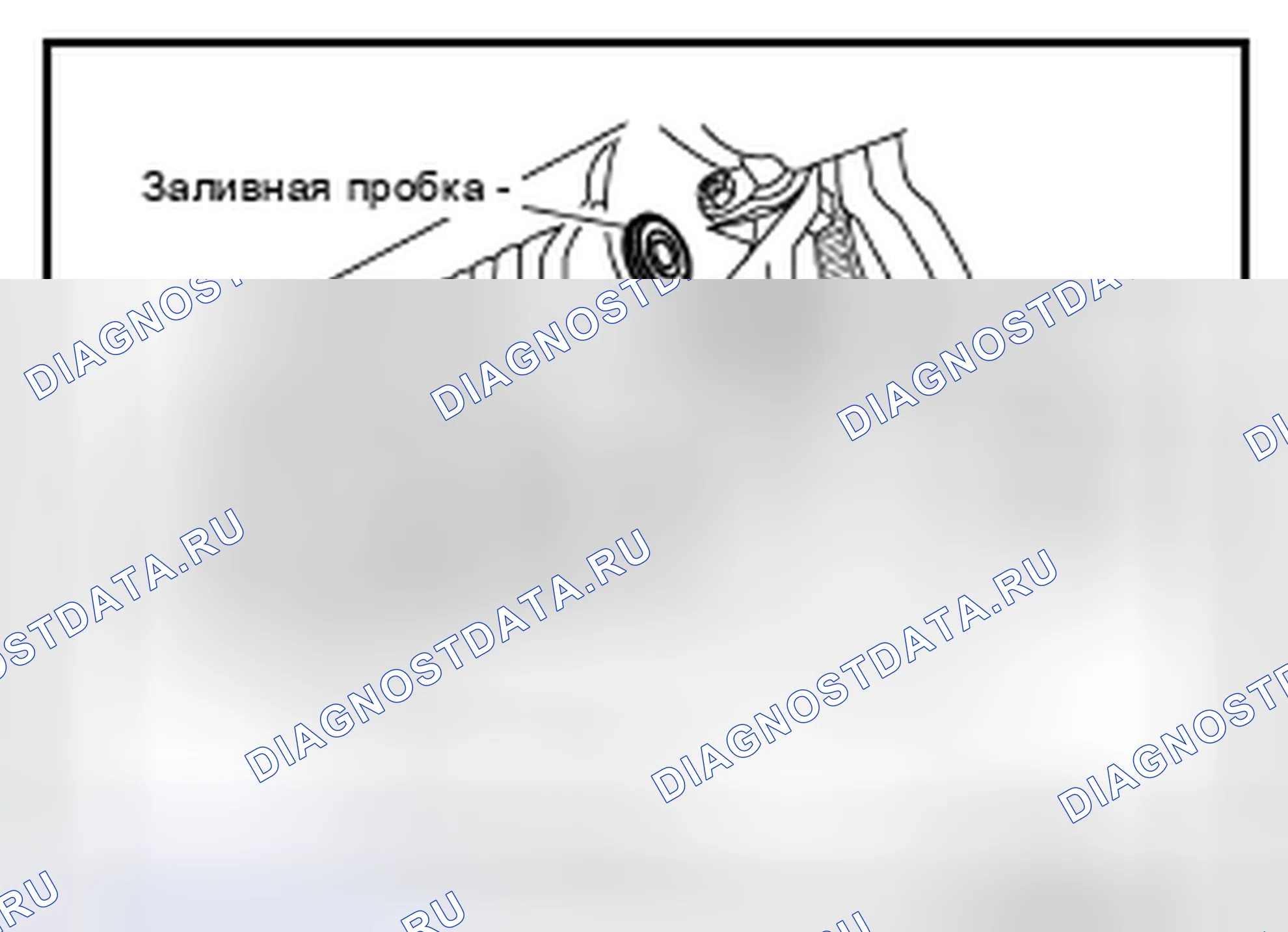 Рис. 176: ЗАПОЛНЕНИЕ. Nissan Pathfinder III рестайлинг