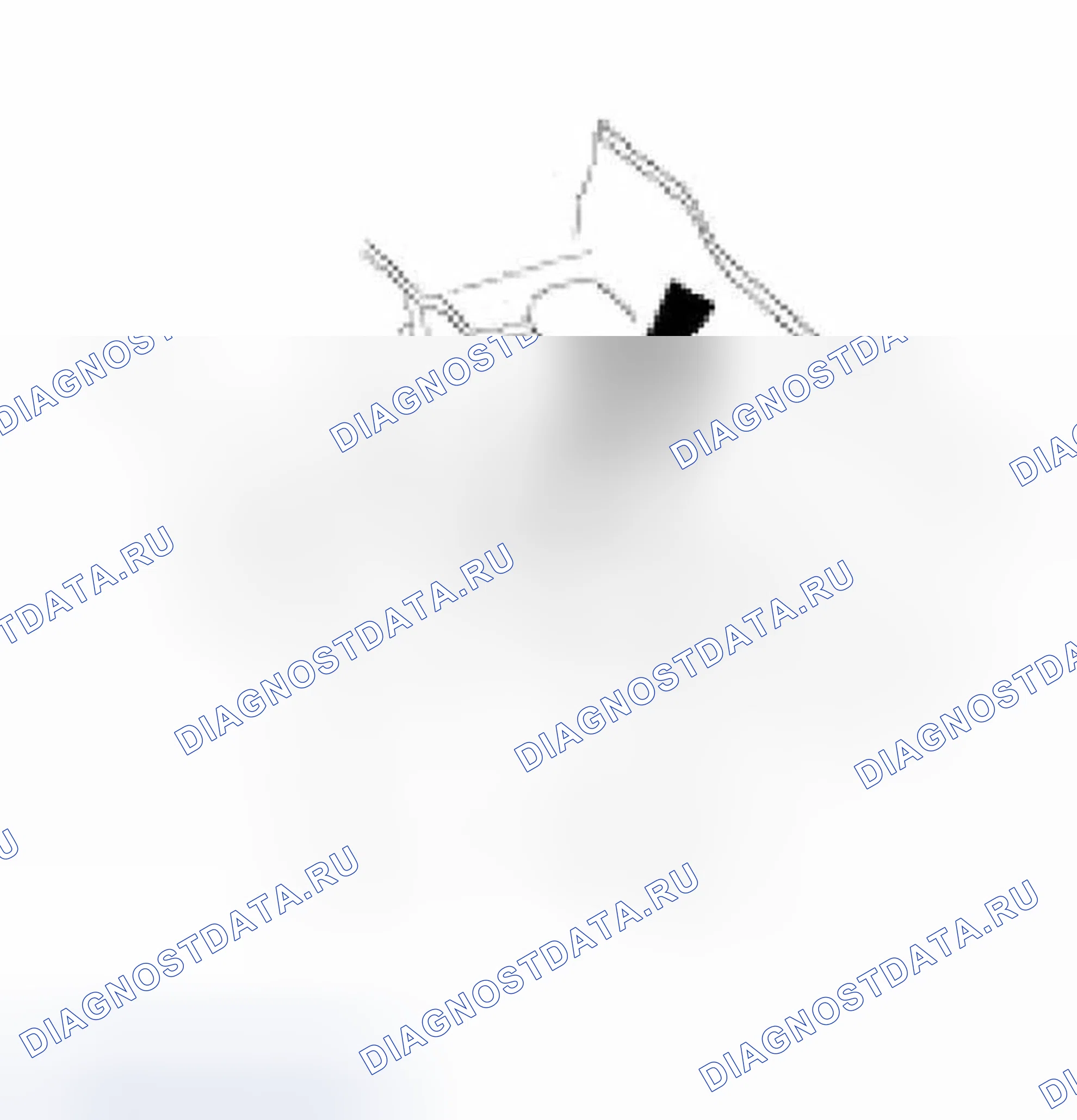 Рис. 119. Jaguar XKR I
