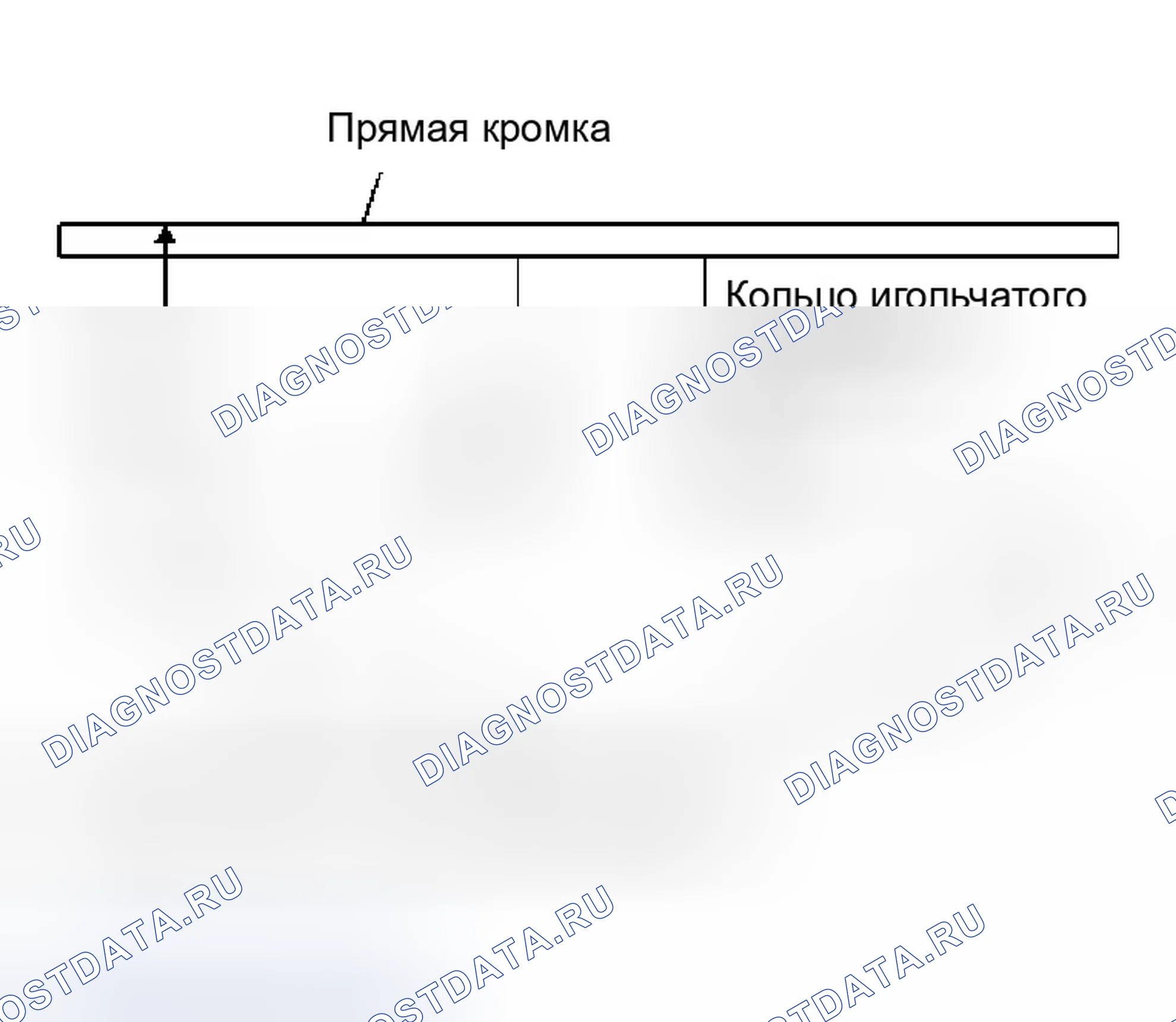 Рис. 697. Infiniti M45 II