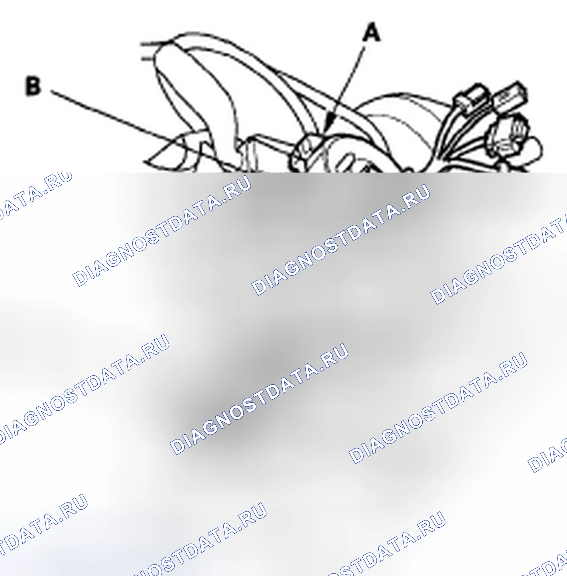 Рис. 304. Honda Element YH2 рестайлинг 2