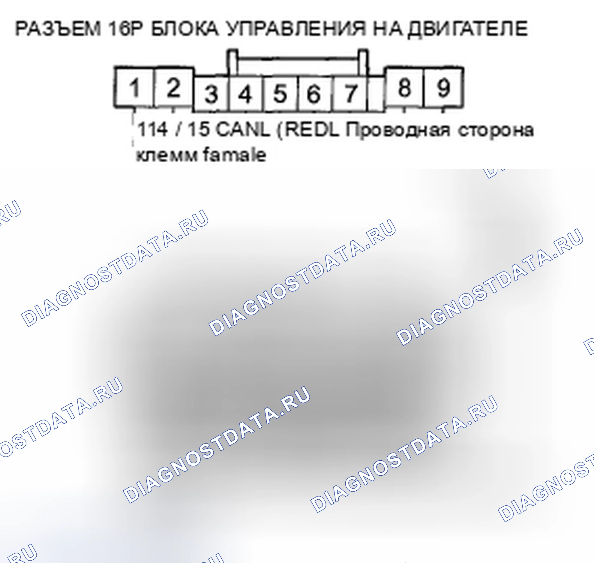 Рис. 227. Honda Accord VIII