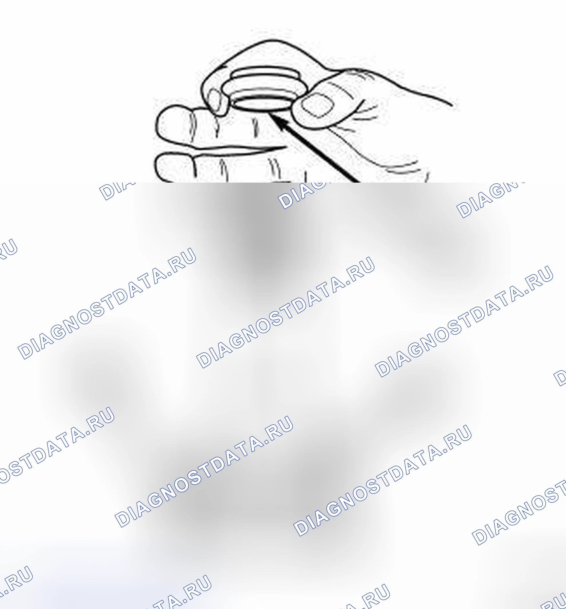 Рис. 195. Jeep Liberty II
