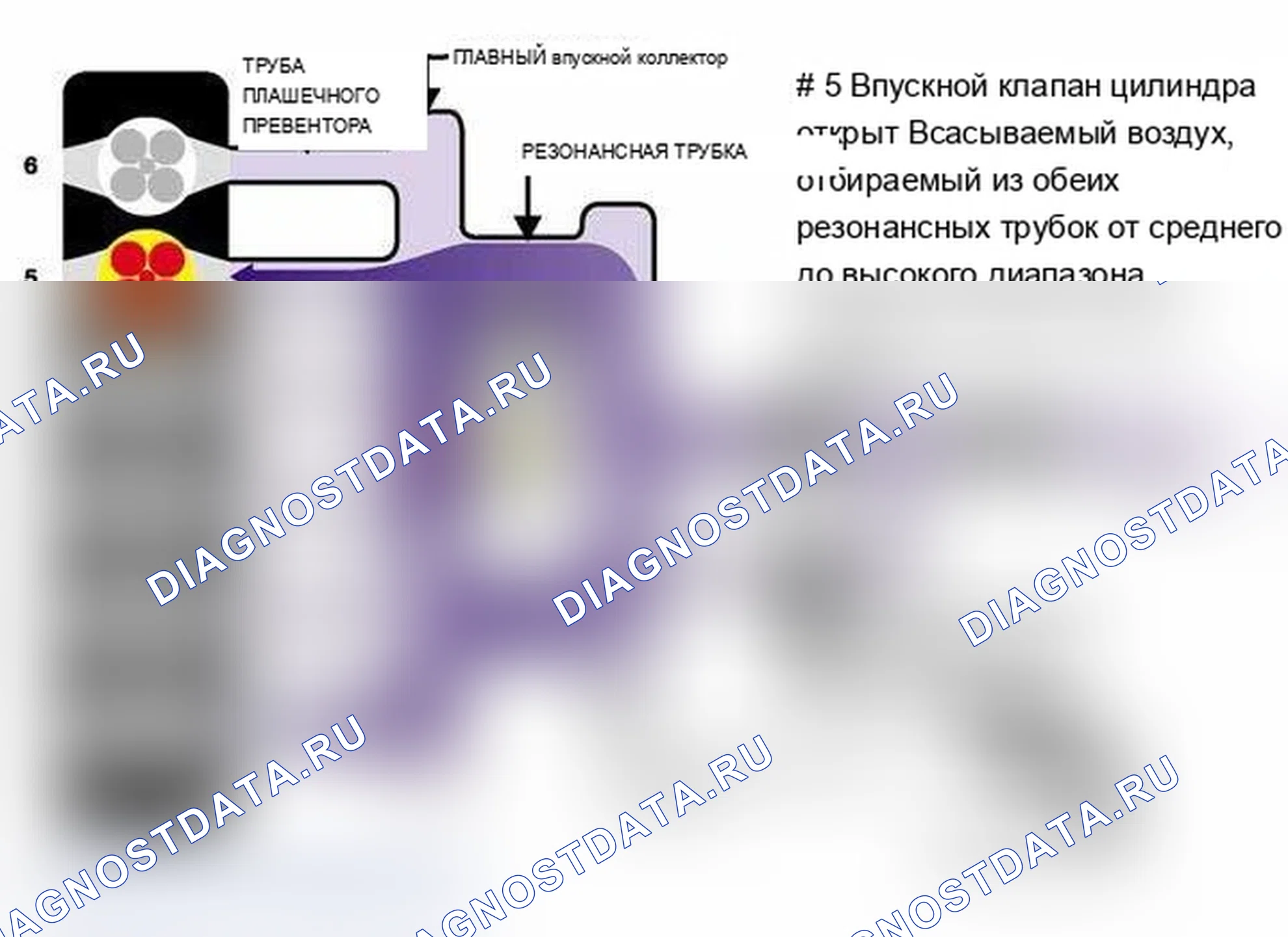 Рис. 519. BMW M3 E46