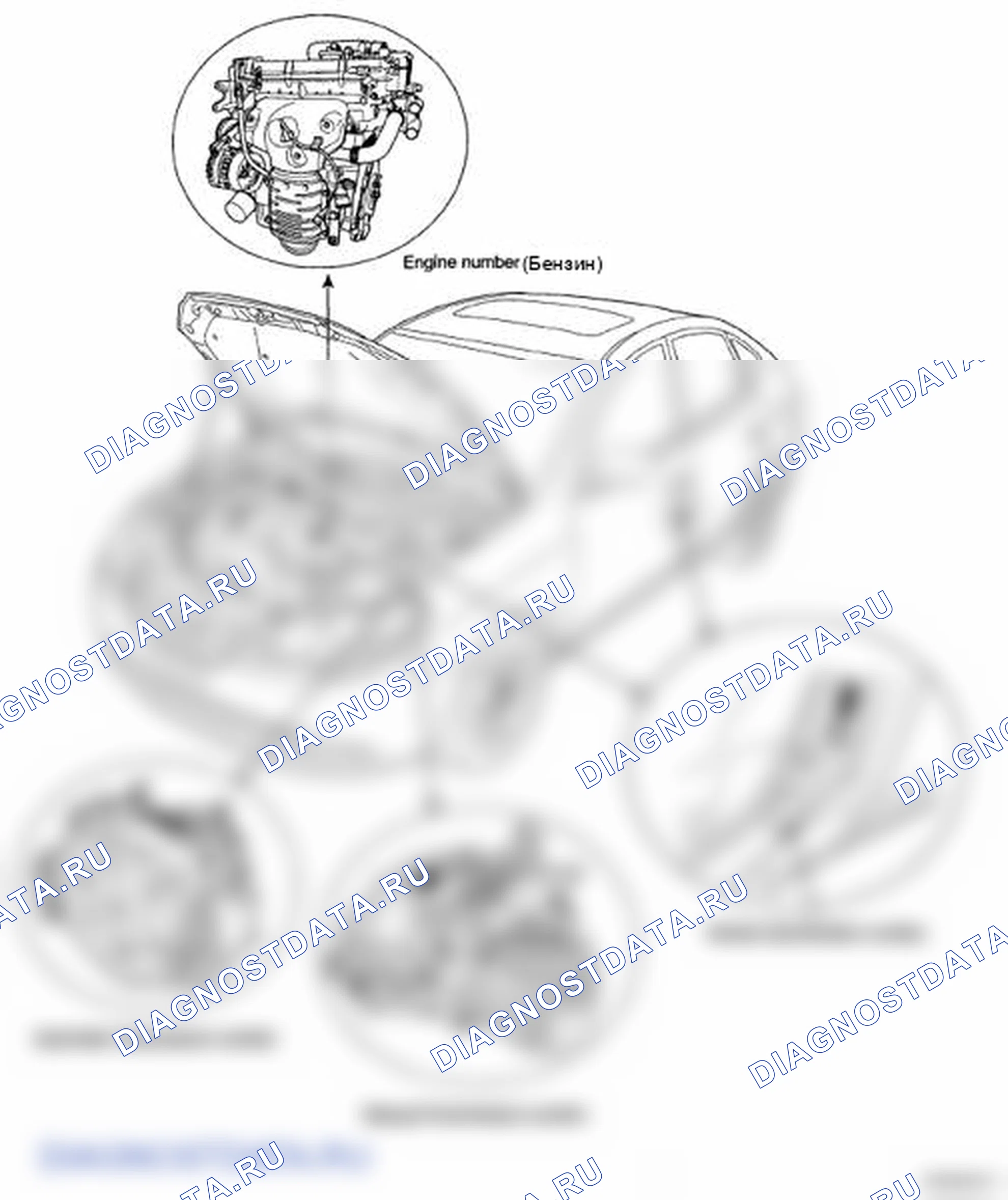 Рис. 3: РАСПОЛОЖЕНИЕ ИДЕНТИФИКАЦИОННЫХ НОМЕРОВ. Hyundai Elantra IV