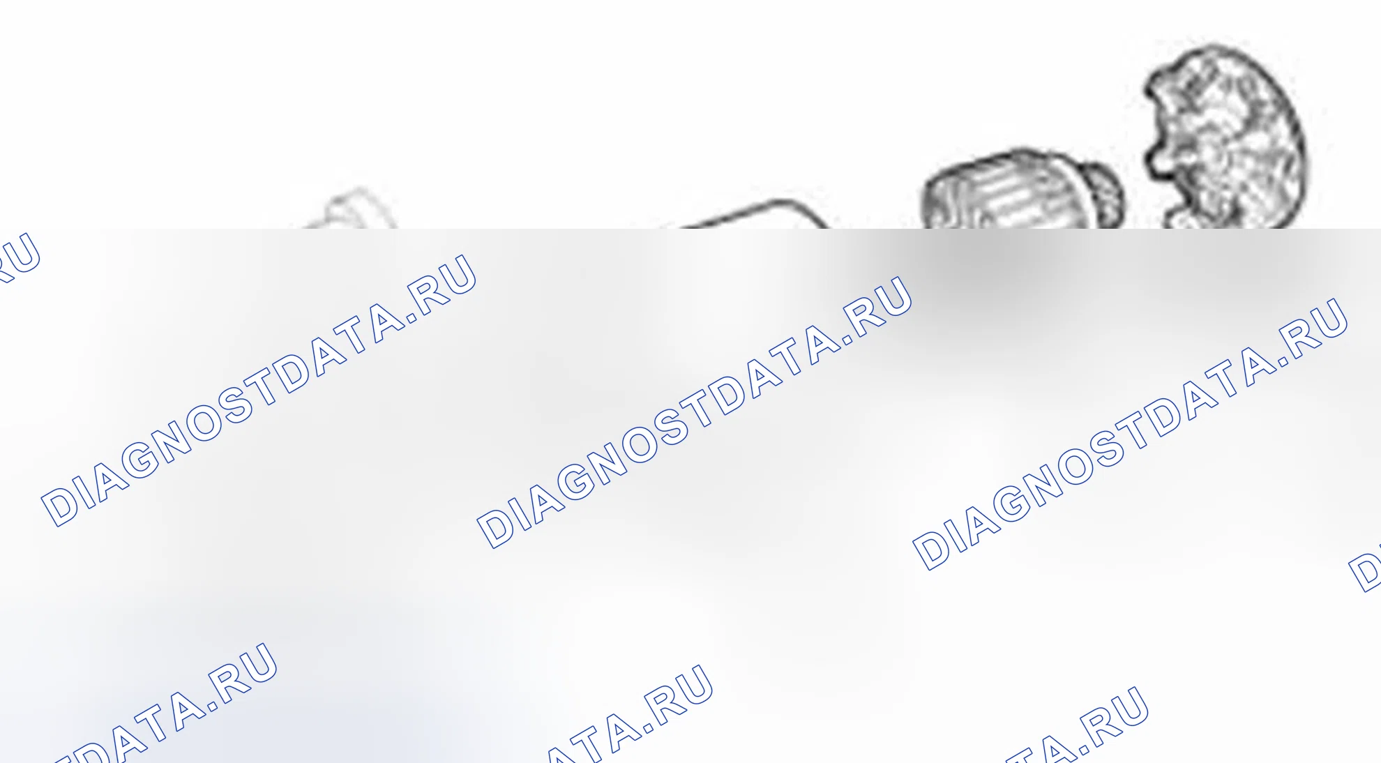 Рис. 24. Hyundai Elantra V