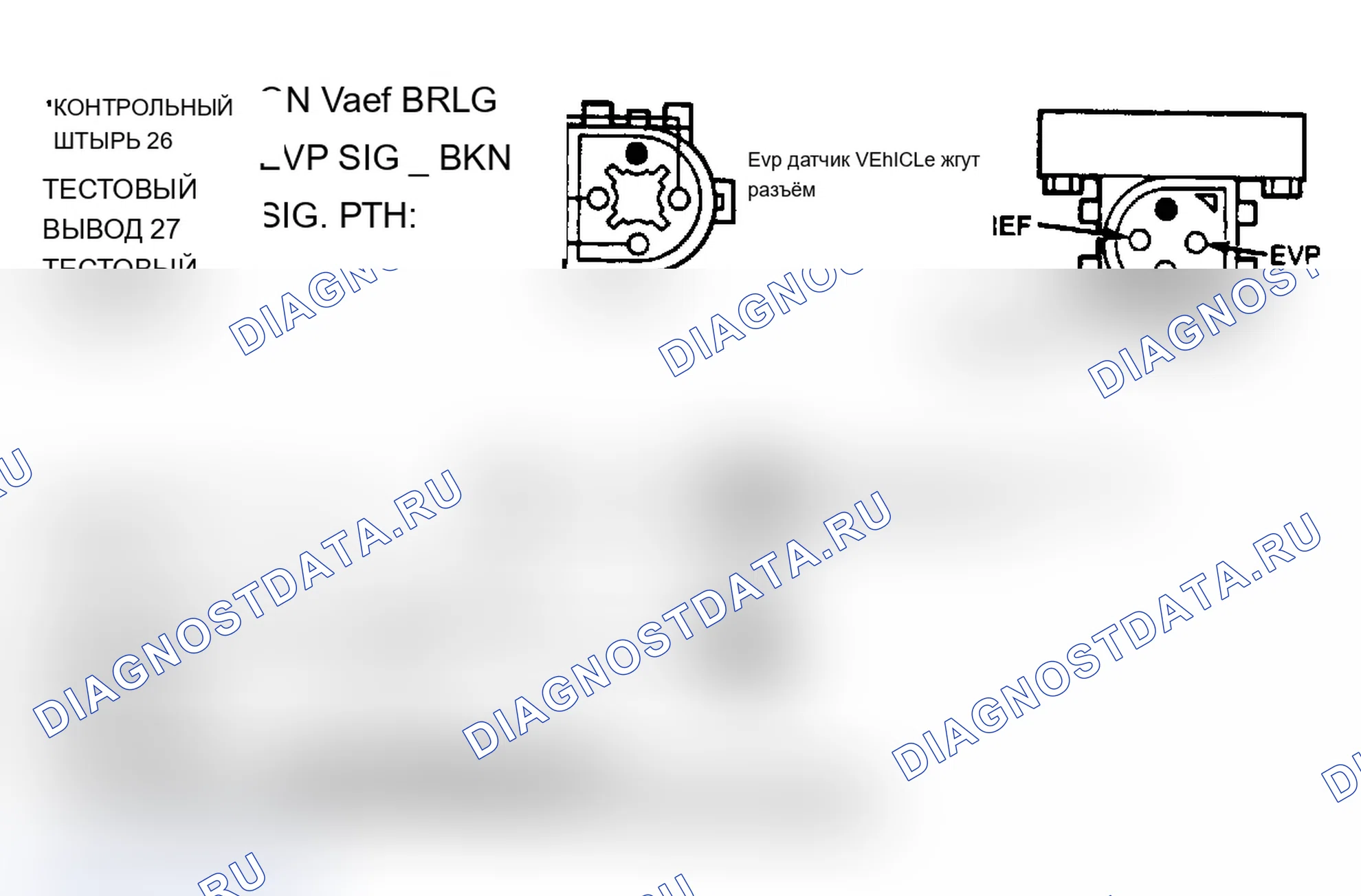 Рис. 42: Цепи электромагнитов EVP, EGRC и EGRV. Ford Club Wagon E150 