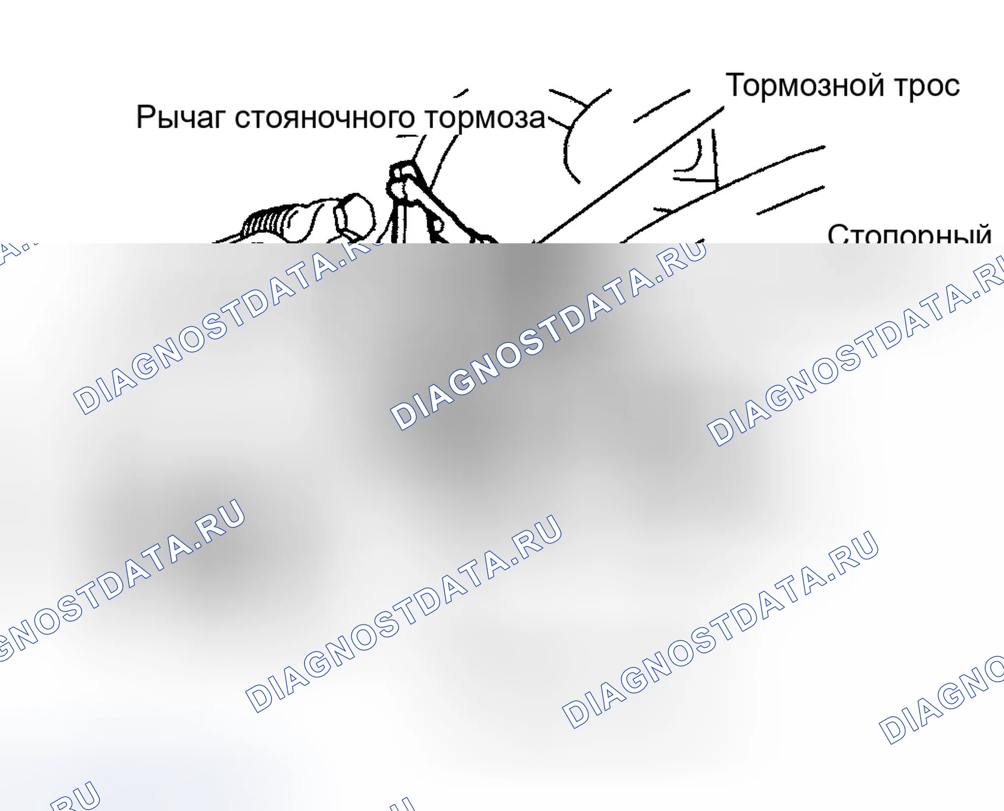 Рис. 80. Ford Focus I рестайлинг