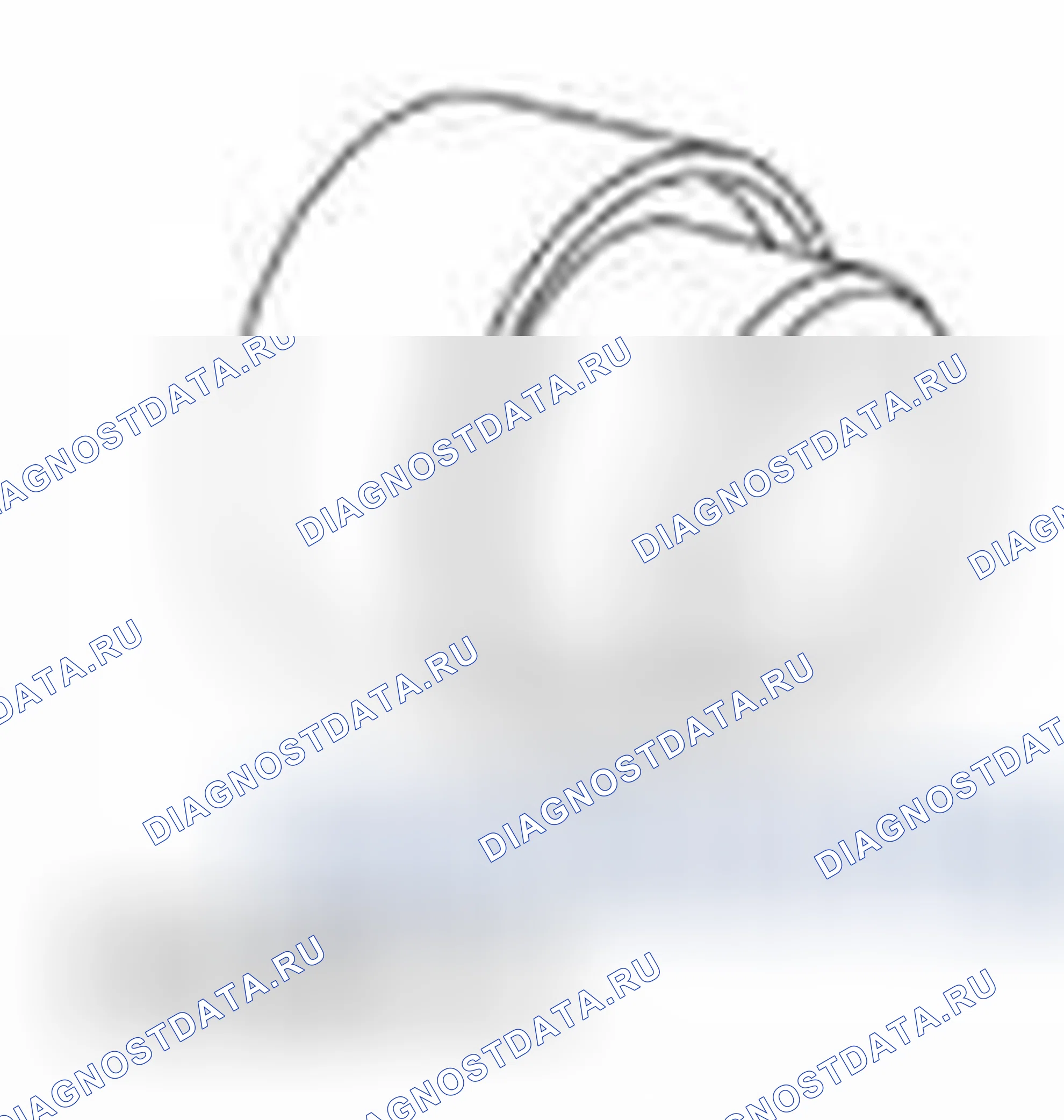 Рис. 1446. Ford Edge I рестайлинг