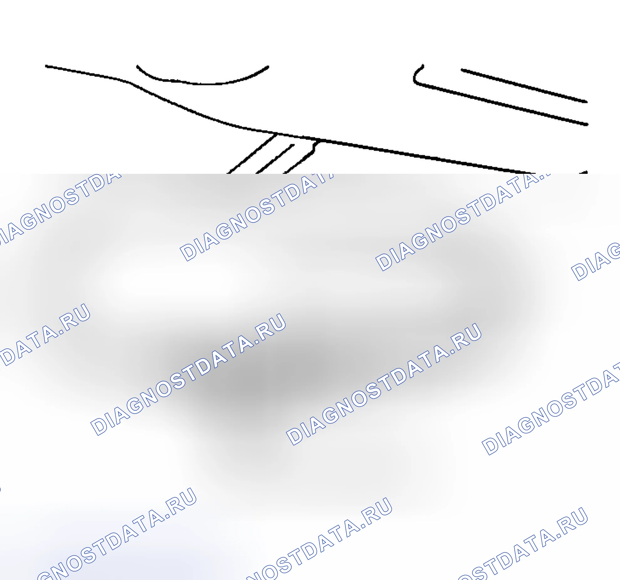 Рис. 1: Диагностическая процедура. Nissan 350Z I