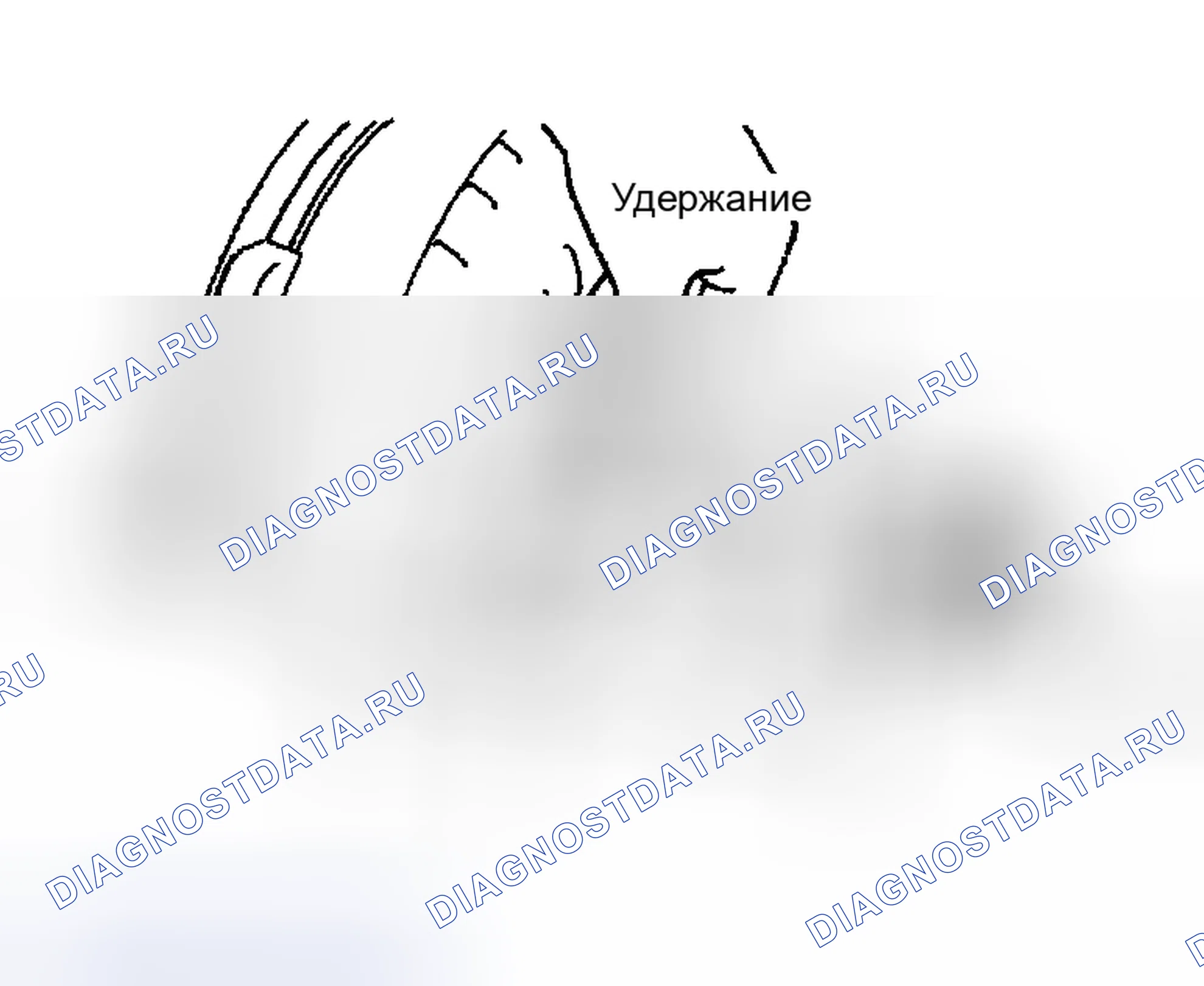 Рис. 352. Lexus ES XV30
