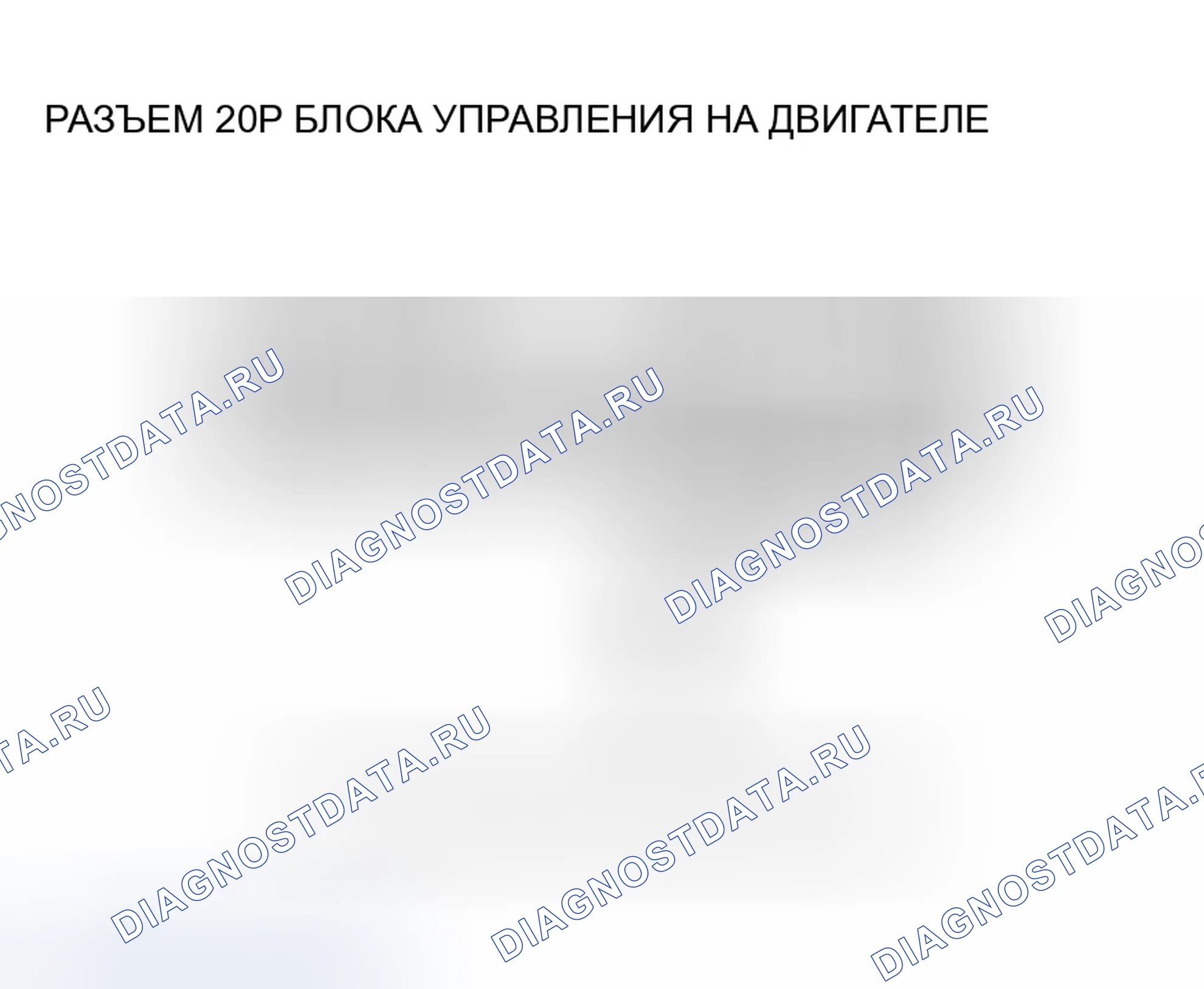 Рис. 598. Honda Accord VII рестайлинг