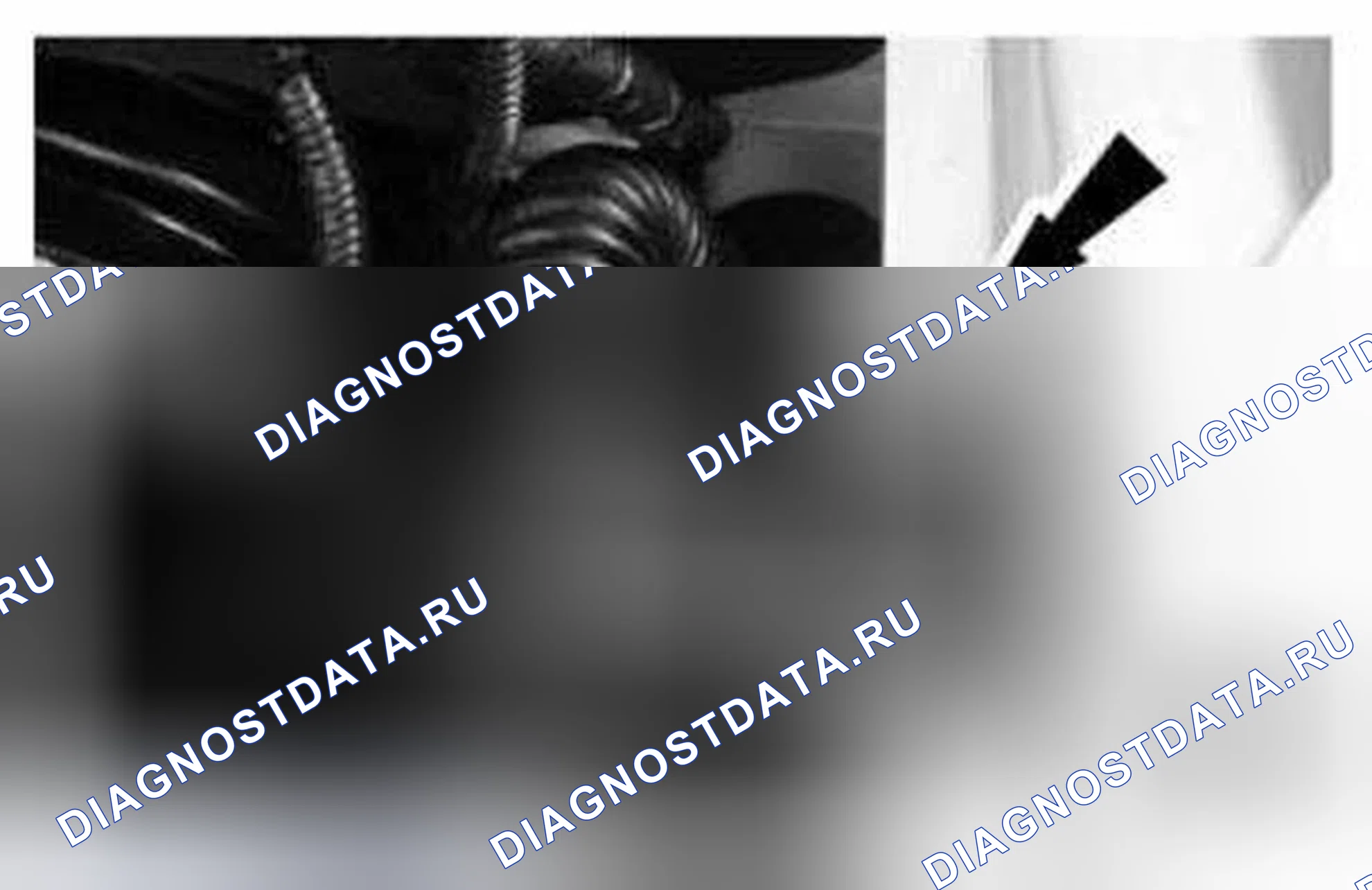 Рис. 1261. Ford Mustang V рестайлинг