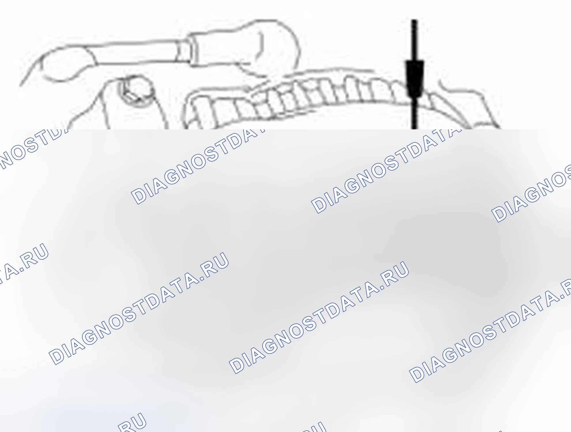 Рис. 14. Ford Explorer V
