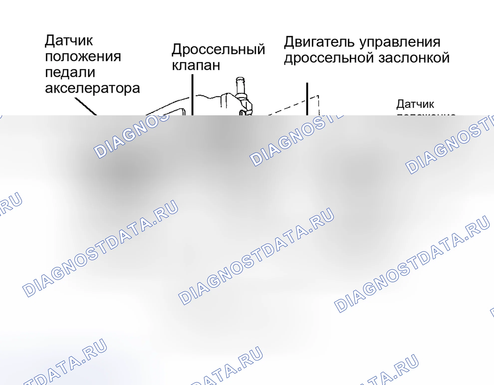 Рис. 2. Toyota Avalon XX10 рестайлинг