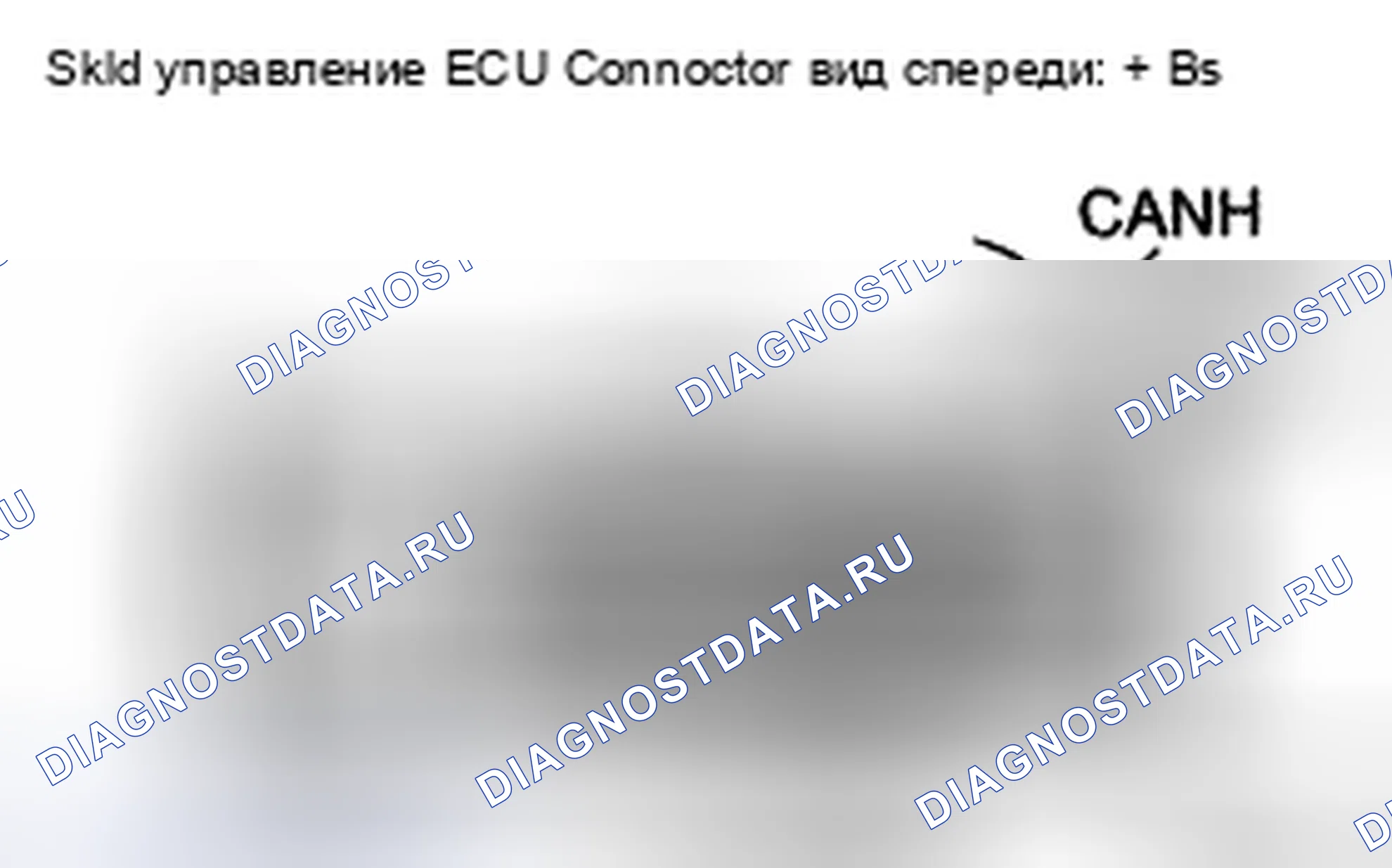 Рис. 198. Toyota Camry XV40