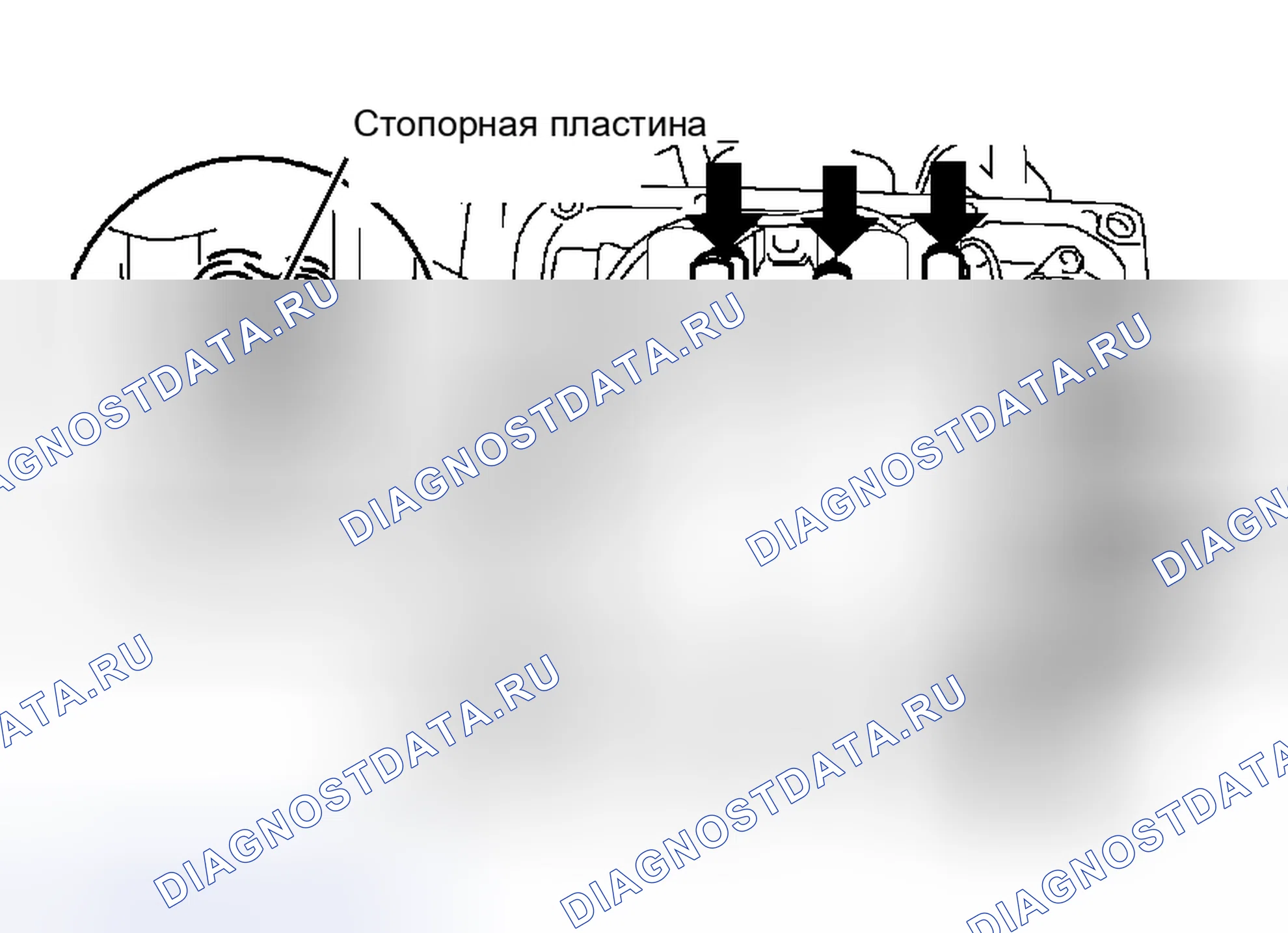 Рис. 1265. Toyota RAV4 III