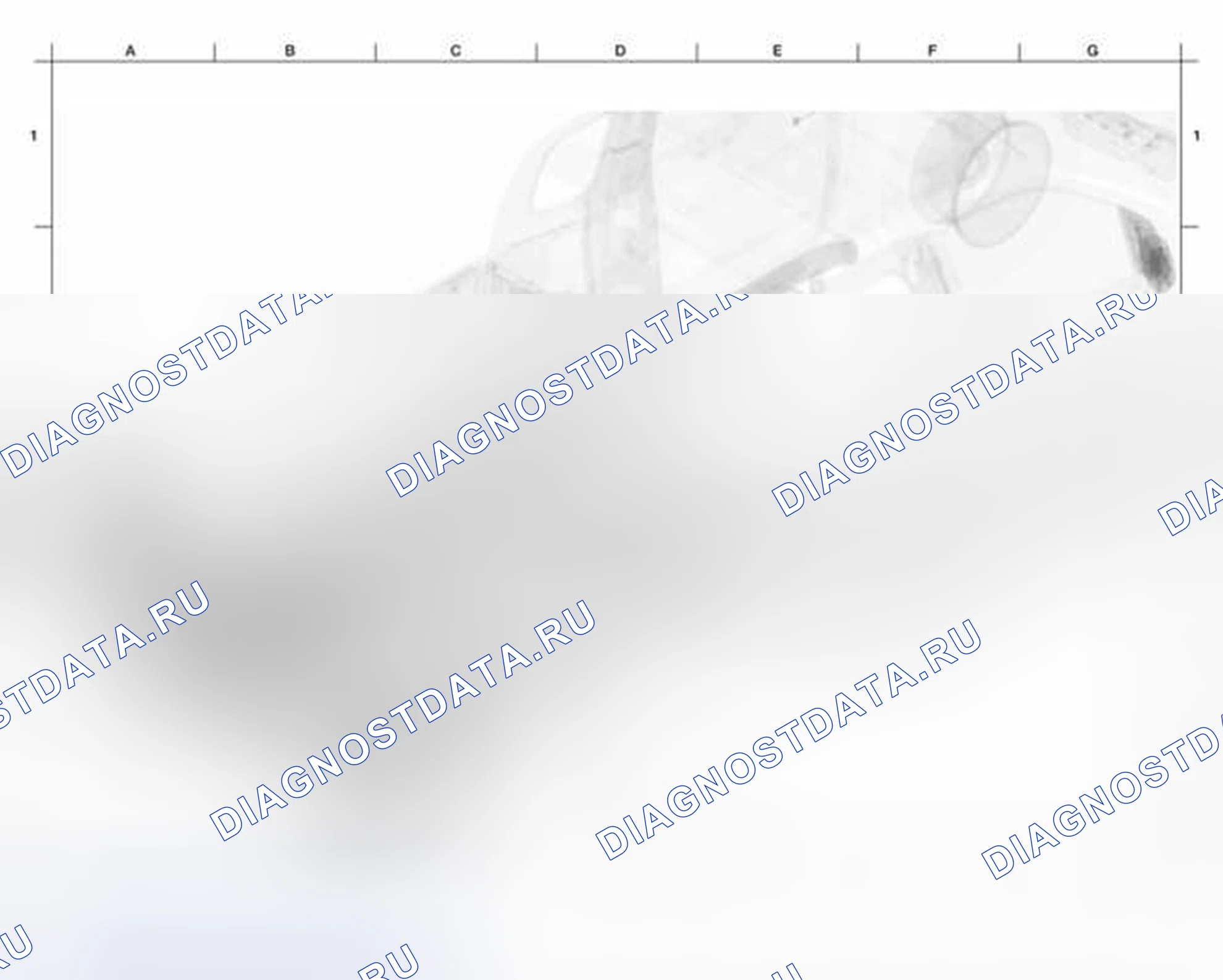 Рис. 58: ЖГУТ ПОДВЕСКИ. Honda Odyssey I