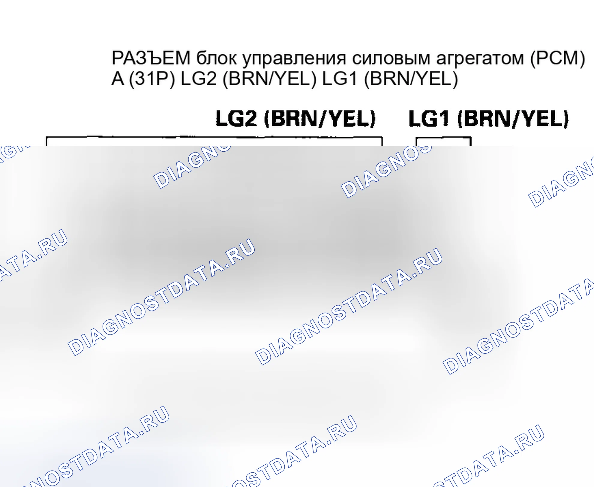 Рис. 485: расшифровка кода ошибки P0717: Проблема в цепи датчика скорости входного вала (главного вала) (без ввода сигнала). Honda Accord VII