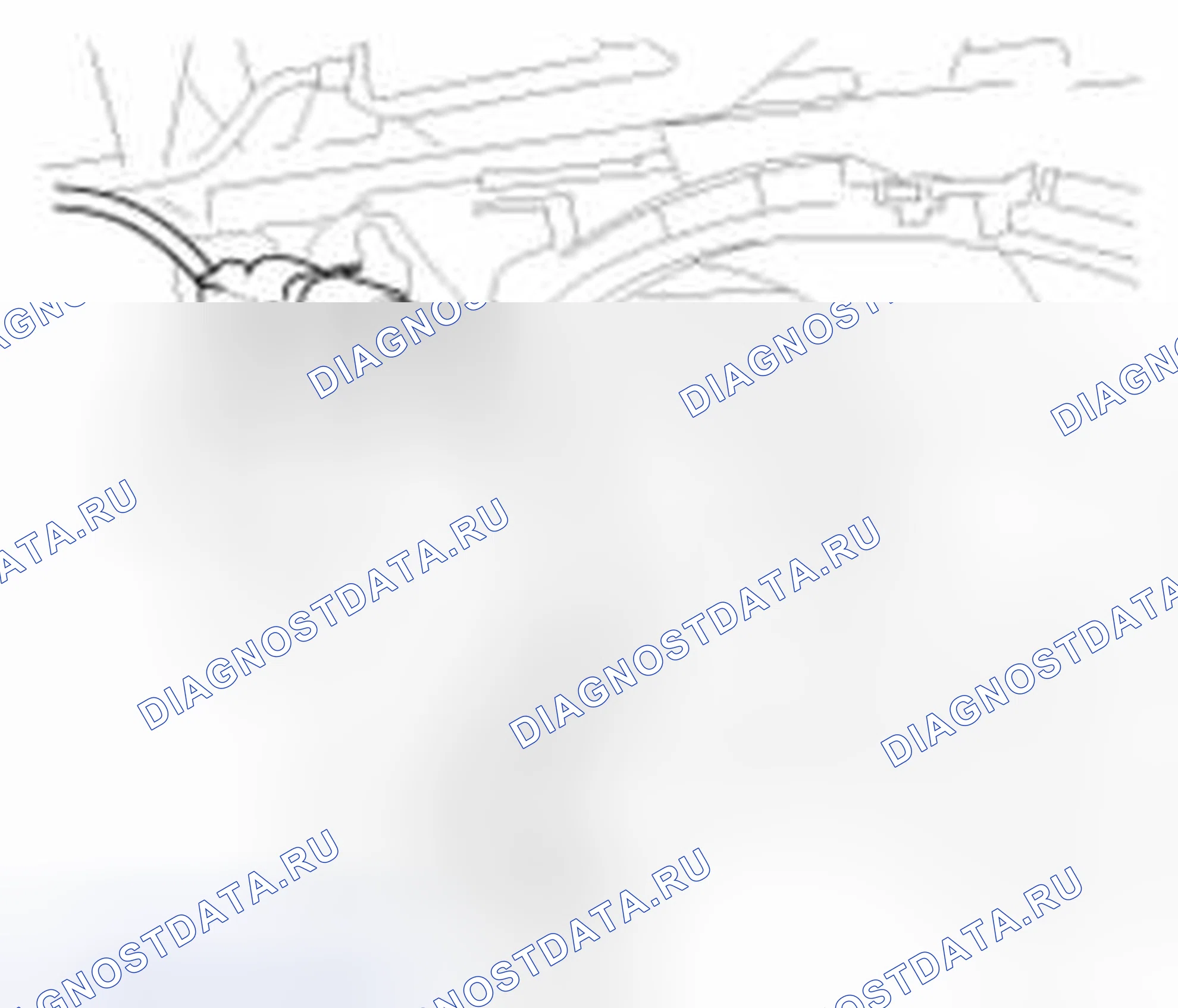 Рис. 41. Haval Beast (Shenshou) I