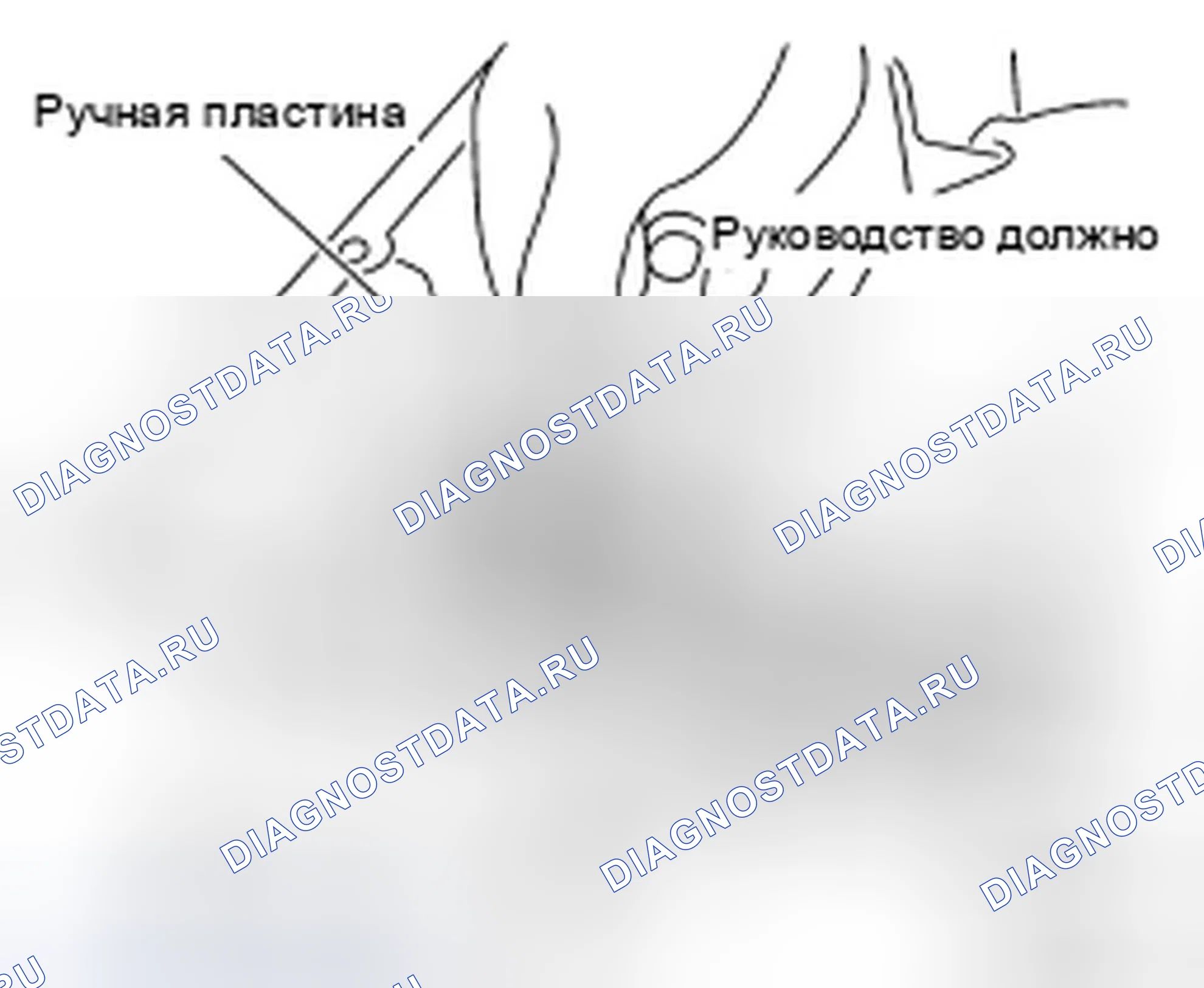 Рис. 242. Infiniti EX35 I
