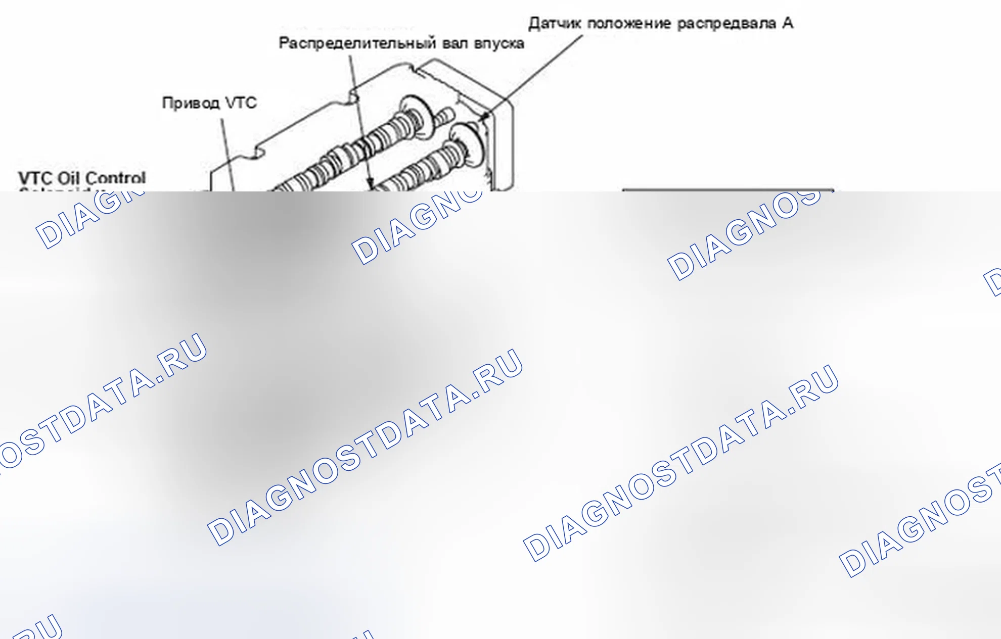 Рис. 1: Идентификация системы регулирования фаз газораспределения (VTC), состоящей из компонентов с блок-схемой. Honda Element YH2 рестайлинг