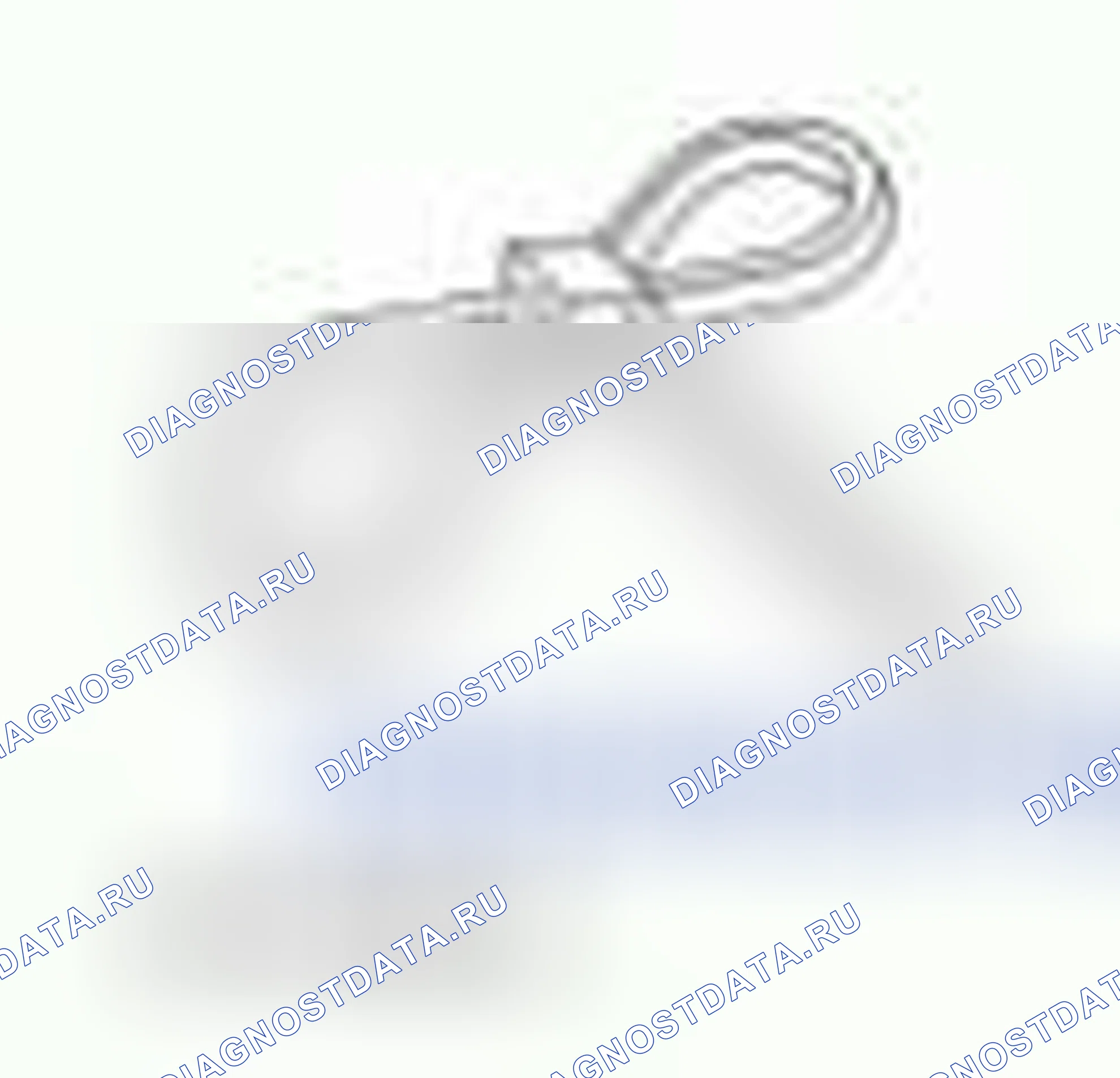 Рис. 1379. Hyundai ix55 I