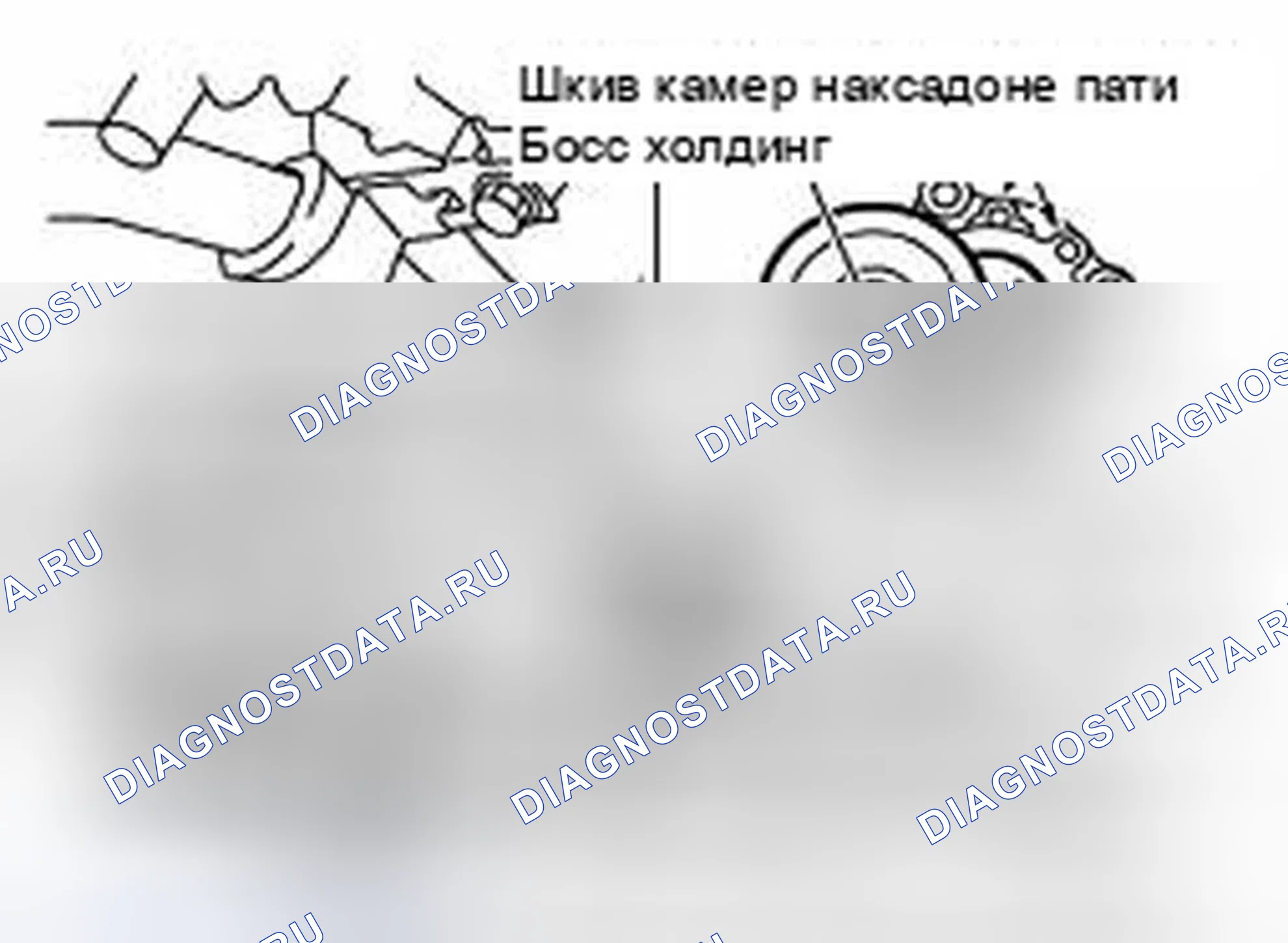Рис. 7: Генератор переменного тока, водяной насос и ремень компрессора переменного тока. Infiniti M45 III рестайлинг