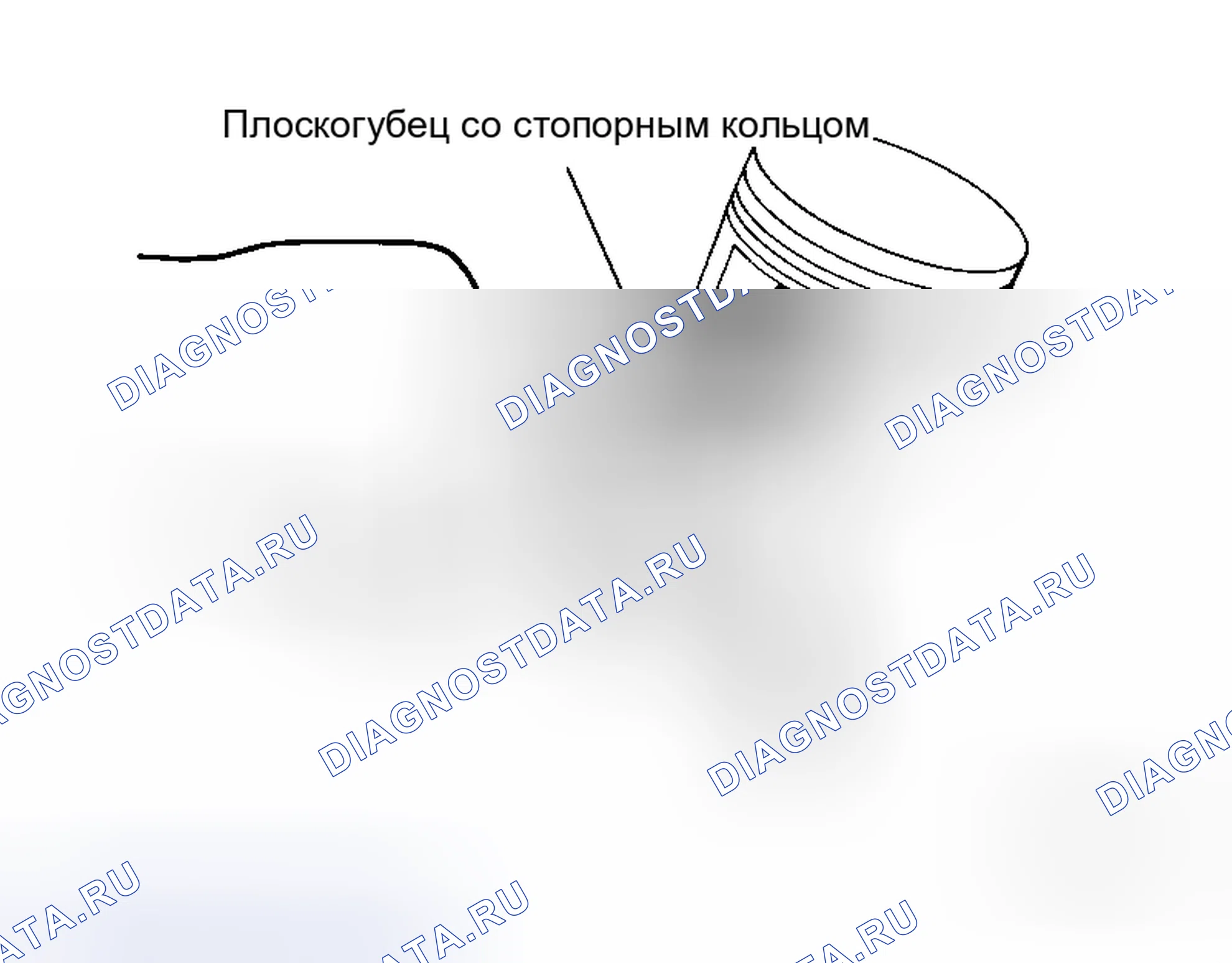 Рис. 134. Honda Torneo I