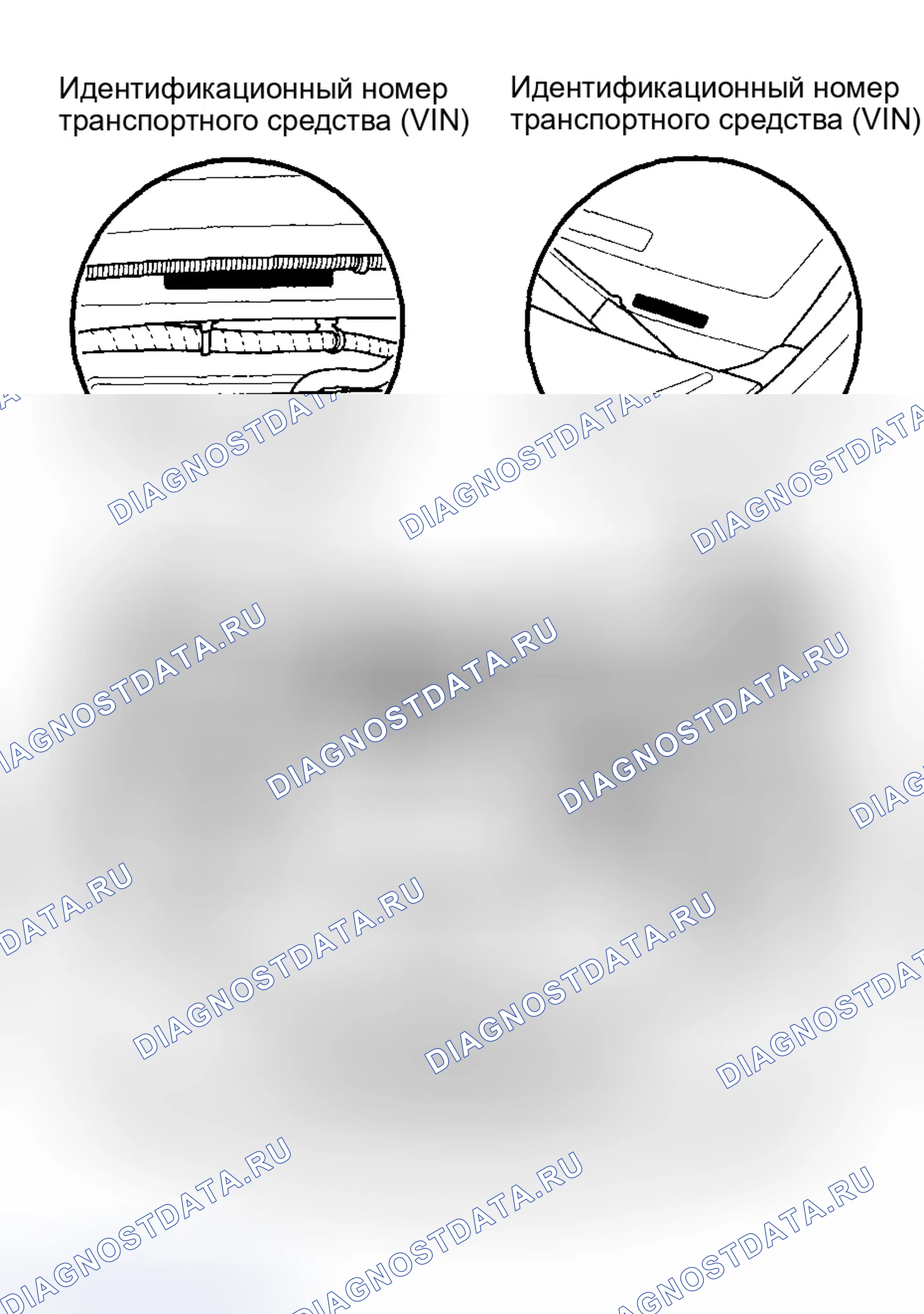 Рис. 9: Расположение идентификационных номеров. Honda Odyssey I