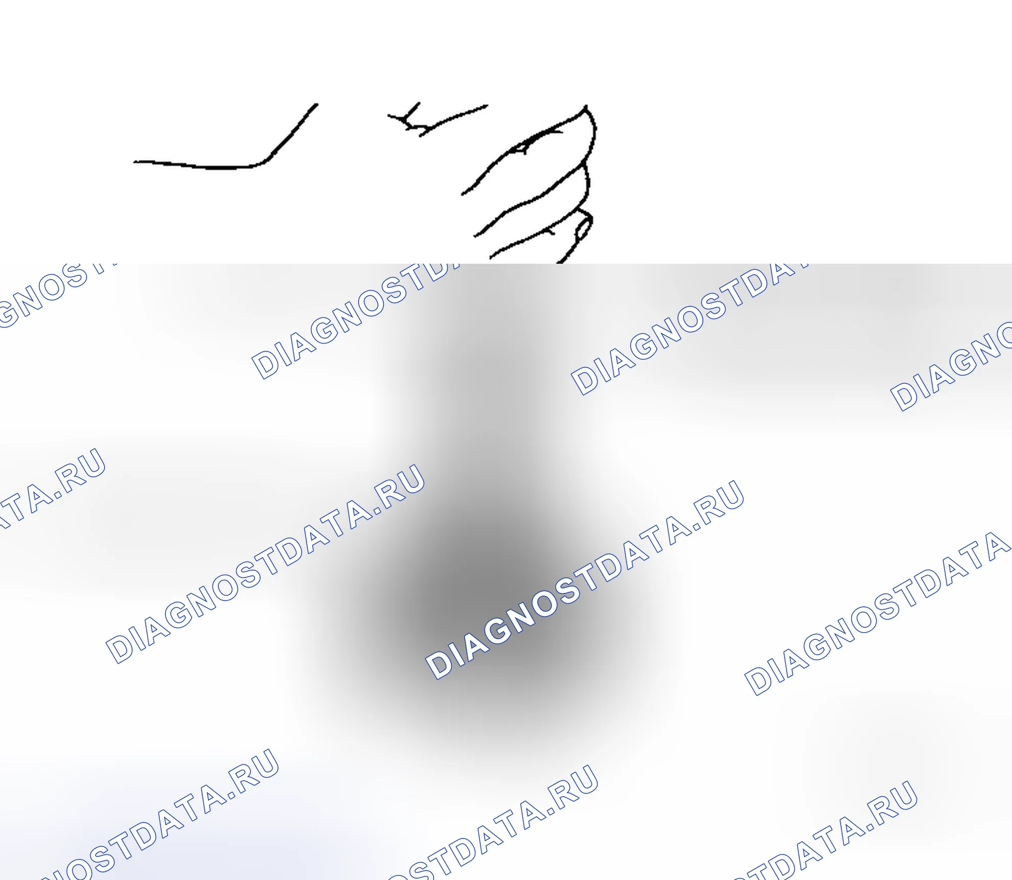 Рис. 31. Honda That S I