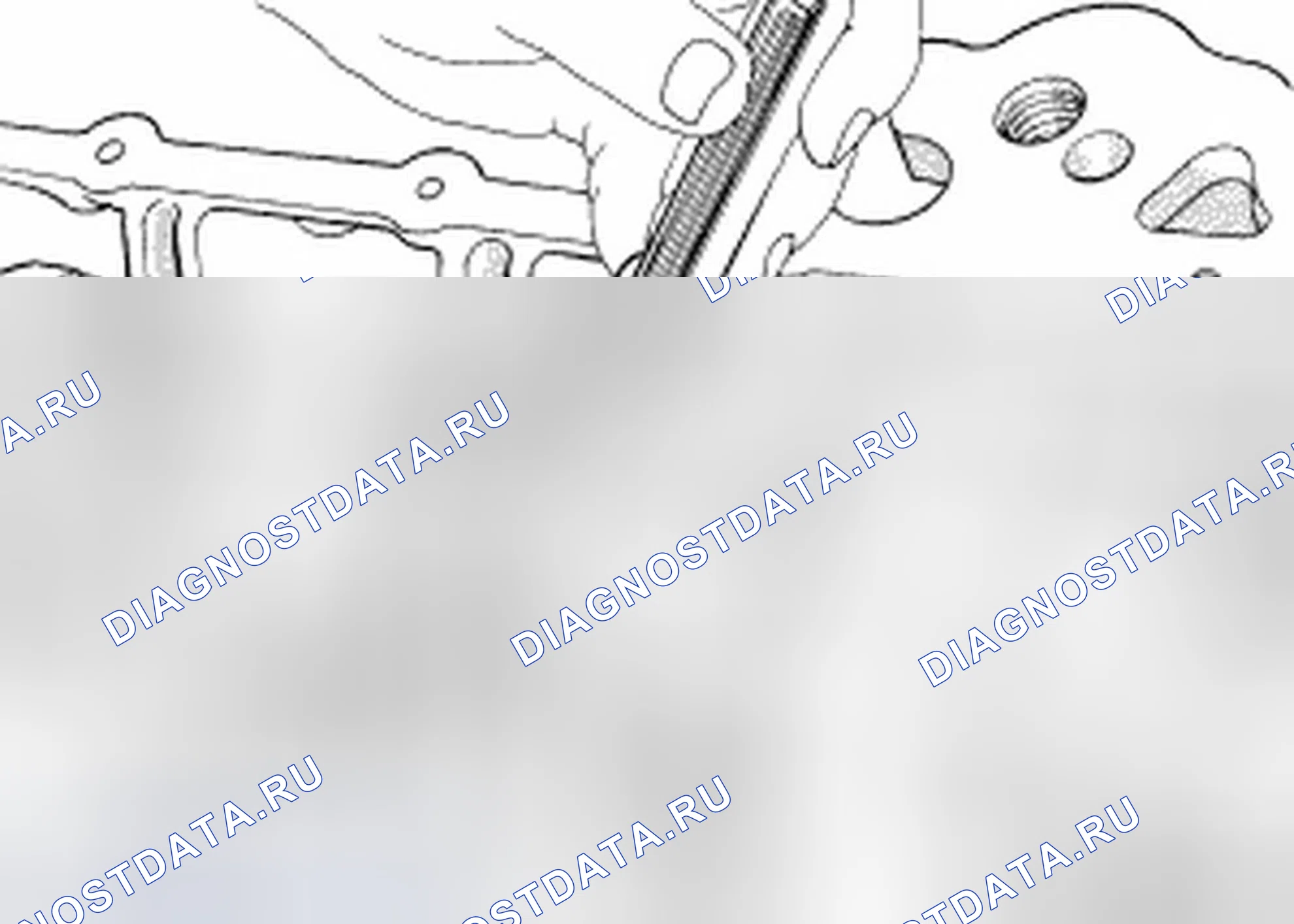 Рис. 581. Jeep Compass I