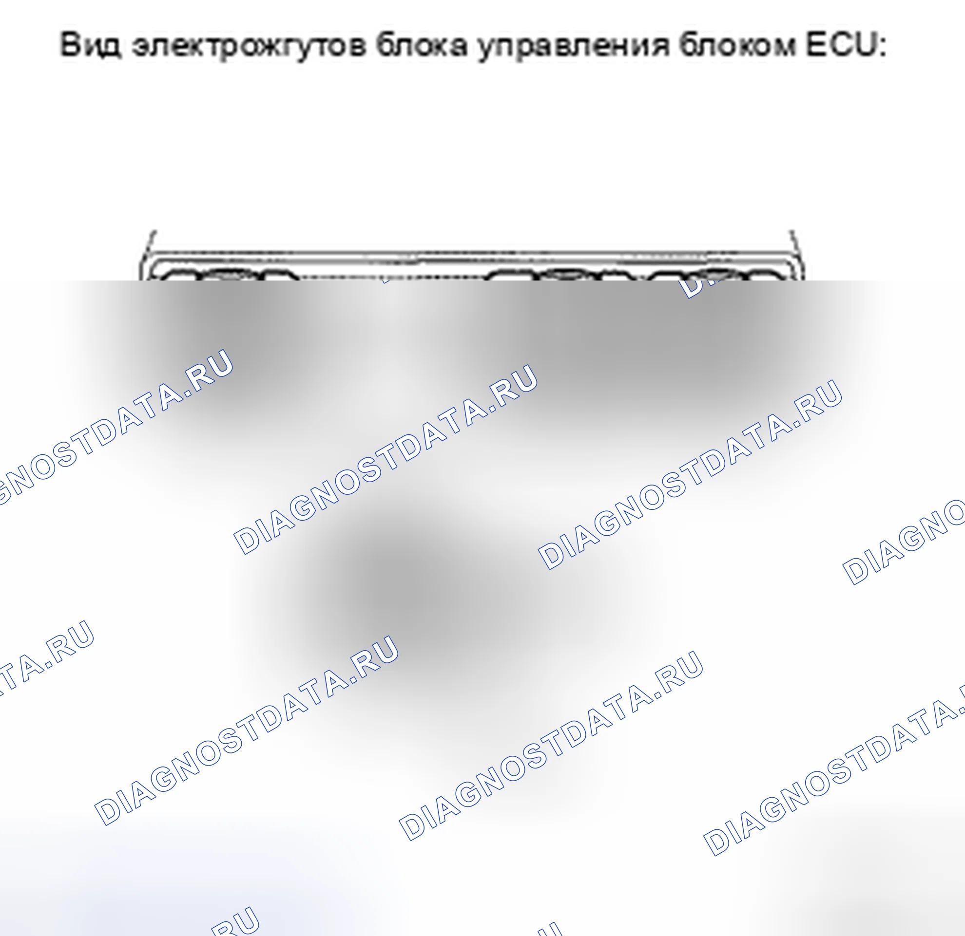 Рис. 163. Toyota Camry XV40