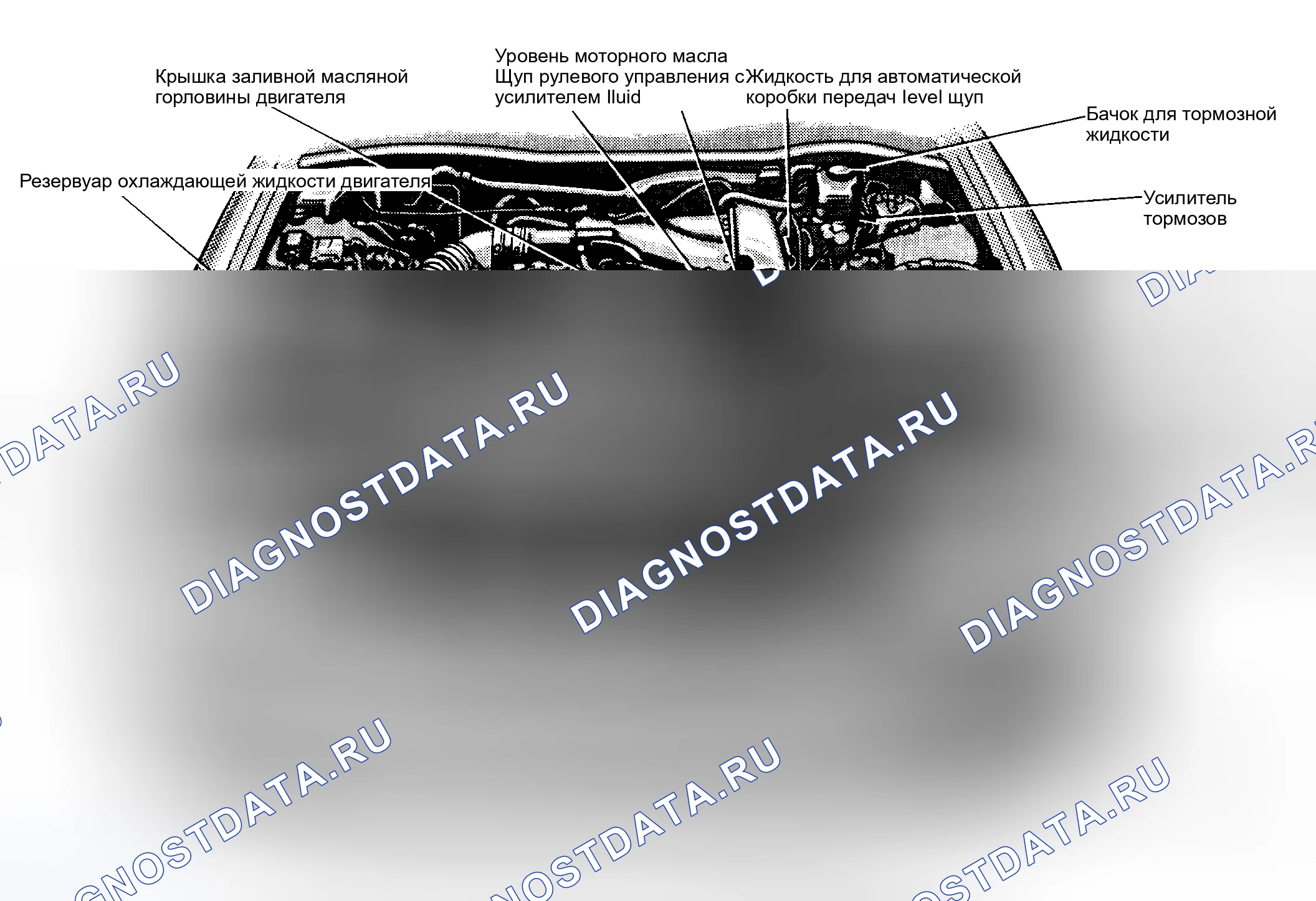Рис. 3: РАСПОЛОЖЕНИЕ ТОЧЕК ОБСЛУЖИВАНИЯ. Haval Jolion I рестайлинг