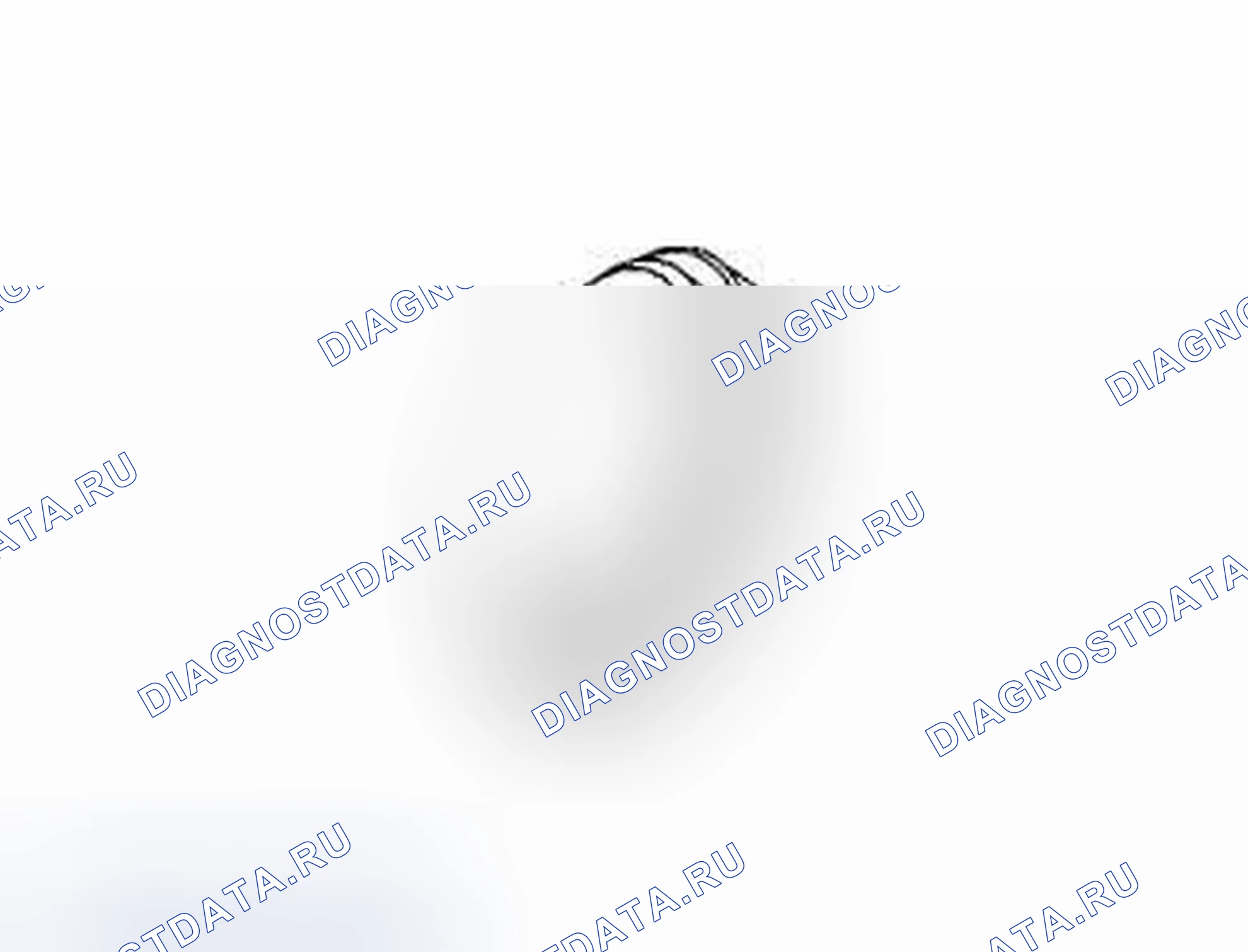 Рис. 300. Dodge Challenger III