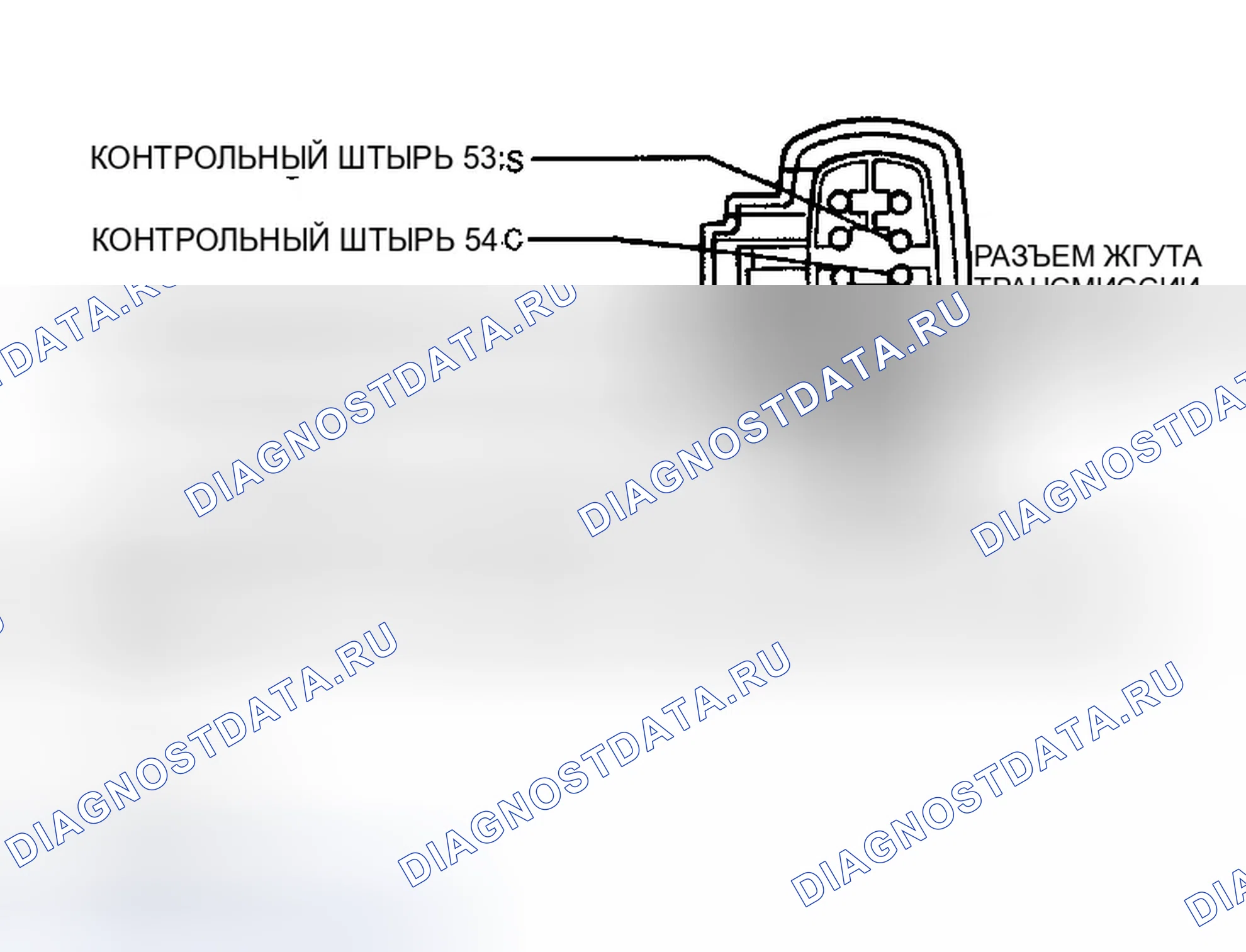 Рис. 389: Схема передачи и разъемы (E40D). Ford Cab & Chassis F350 