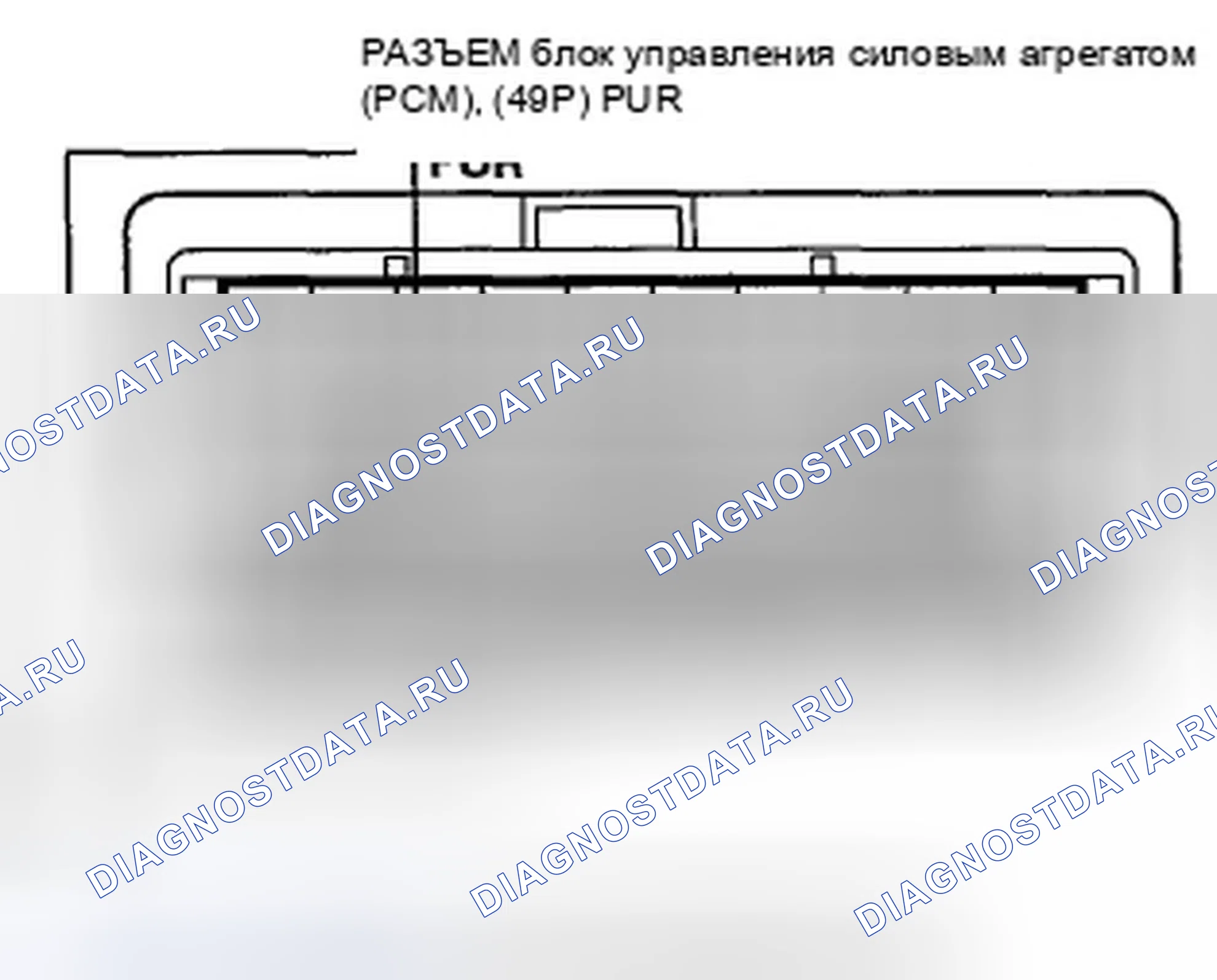 Рис. 23. Honda Crosstour I