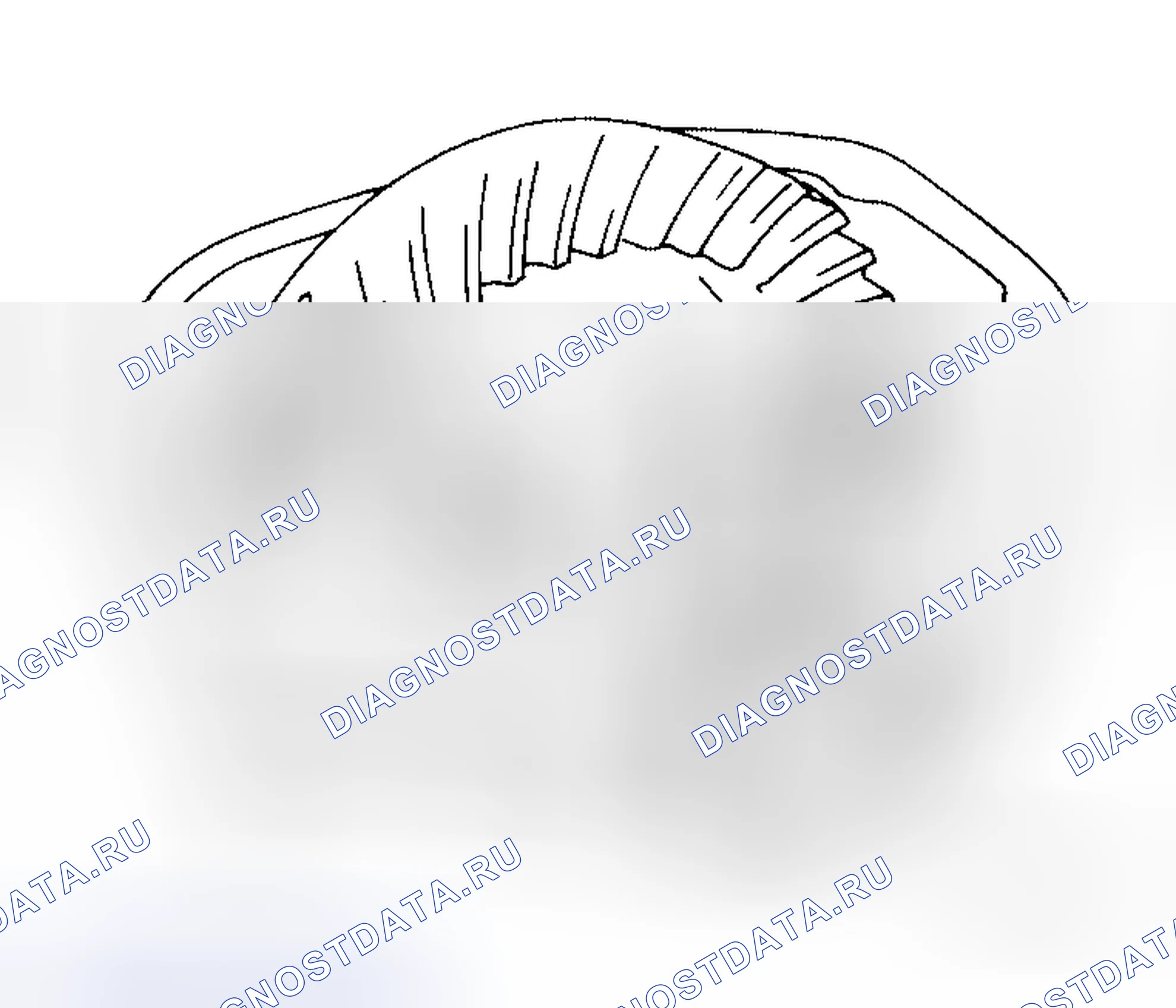 Рис. 168. Honda Jazz I