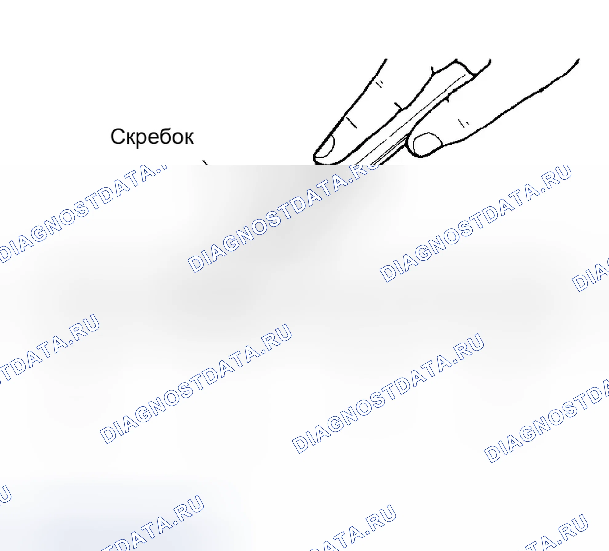 Рис. 2: ПРОЦЕДУРА УСТАНОВКИ ЖИДКОСТНОЙ ПРОКЛАДКИ. Infiniti QX56 I