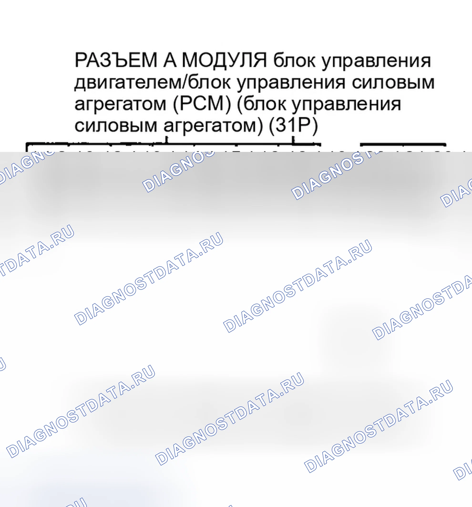 Рис. 86. Honda Element I