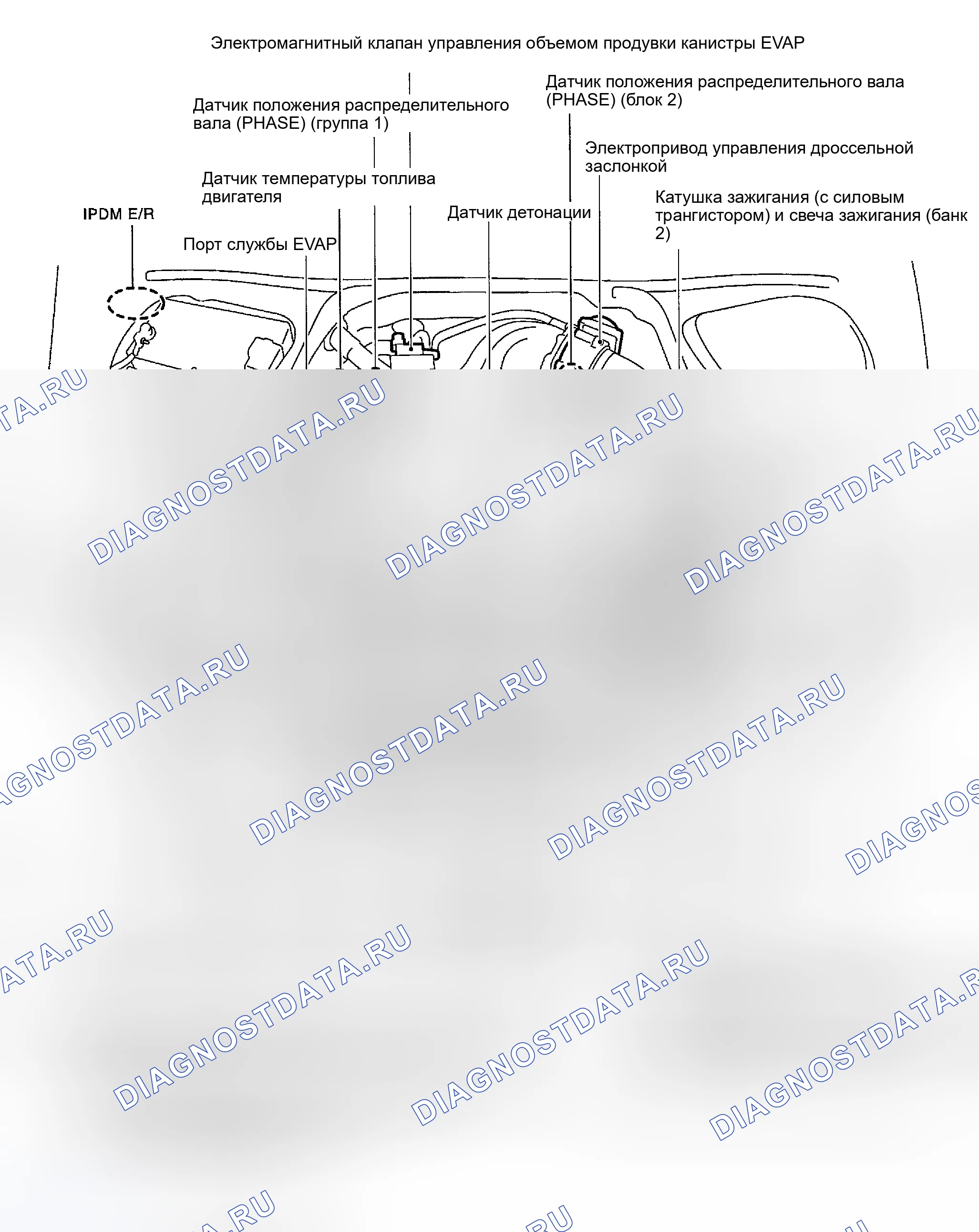 Рис. 360: РАСПОЛОЖЕНИЕ КОМПОНЕНТОВ. Nissan 350Z I