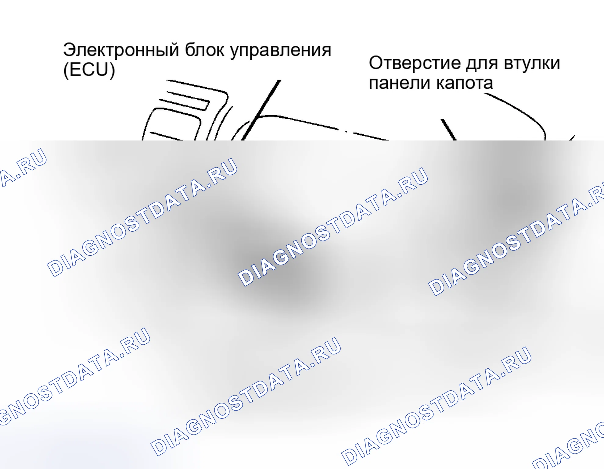 Рис. 9: Удаление (Celica). Toyota Camry V30