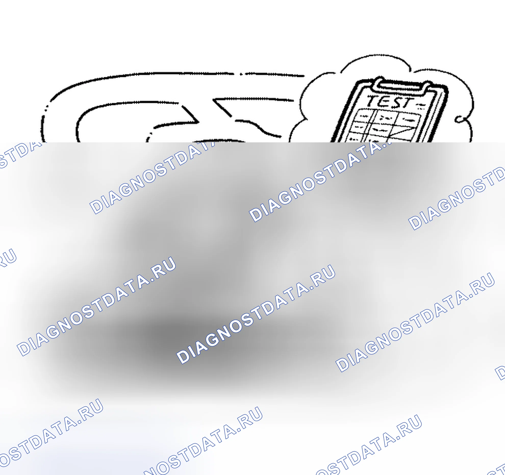 Рис. 4. Nissan Altima L31 рестайлинг