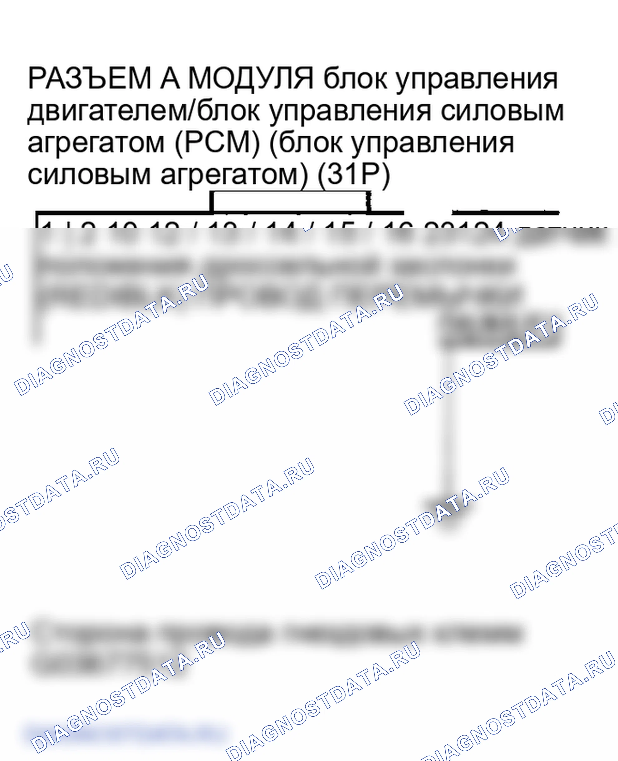 Рис. 77. Honda Element YH2