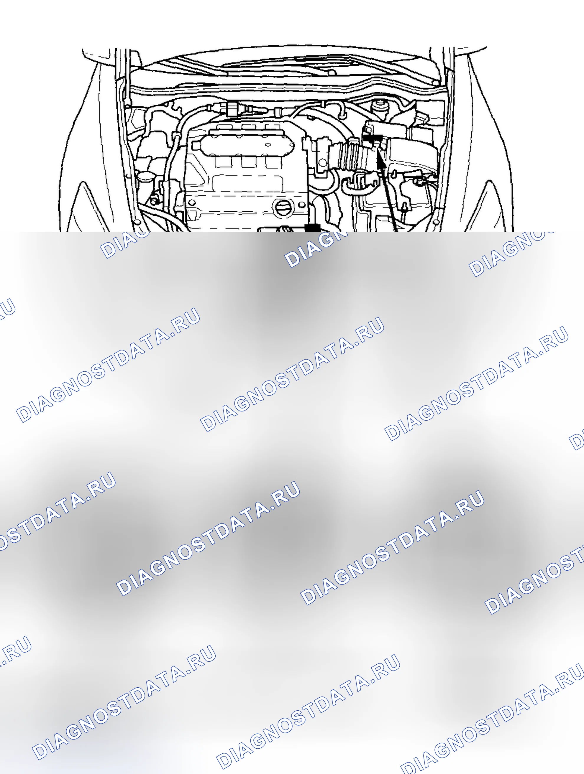 Рис. 78. Honda Accord VII рестайлинг